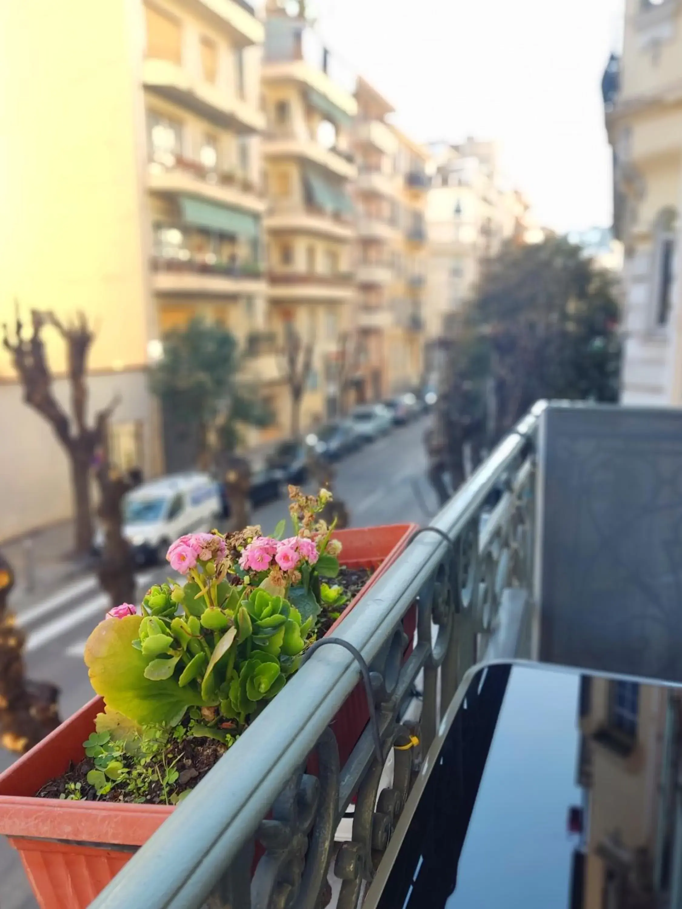 Balcony/Terrace in Parisien