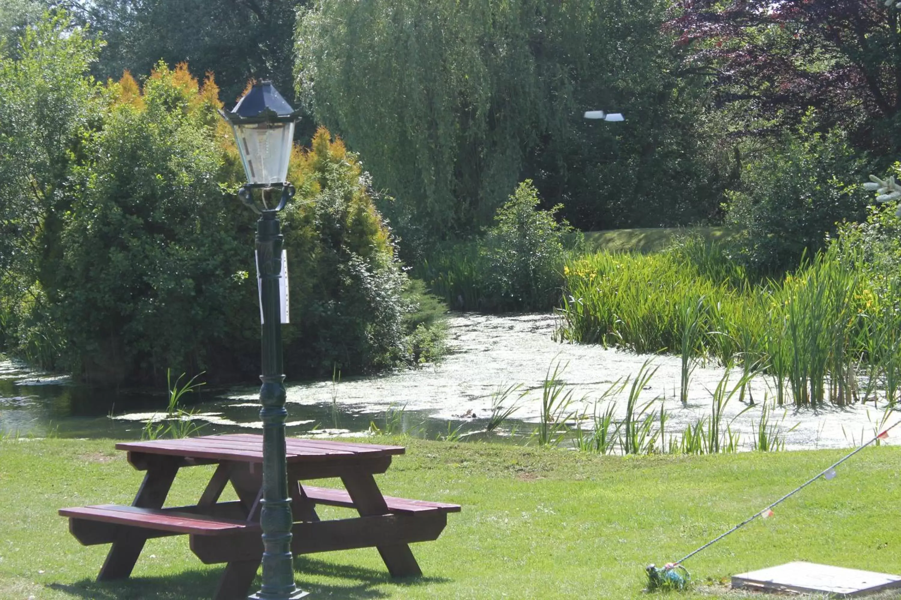 Patio, Garden in Haselbury Mill