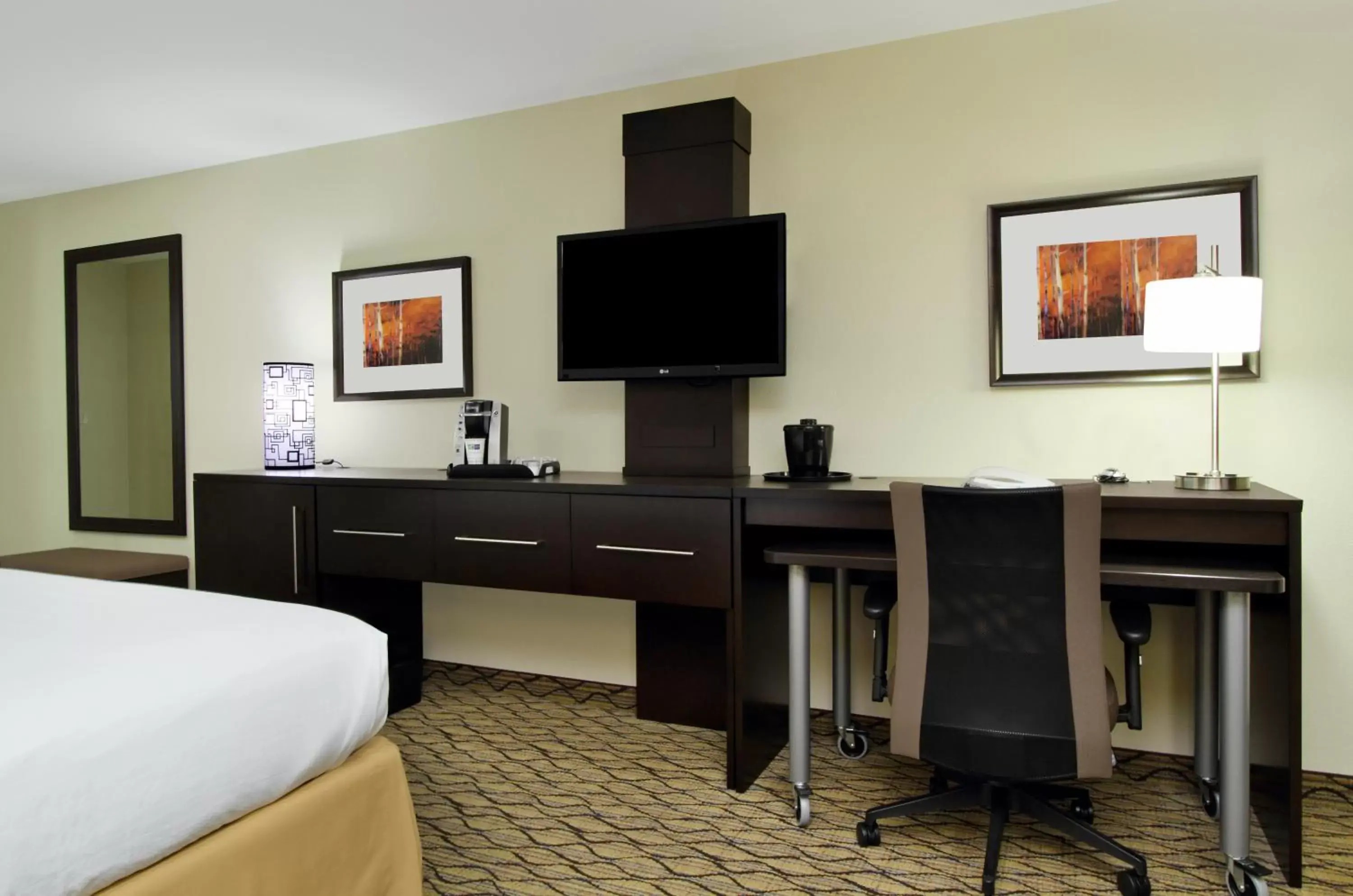 TV and multimedia, TV/Entertainment Center in Holiday Inn Express - Colorado Springs - First & Main, an IHG Hotel