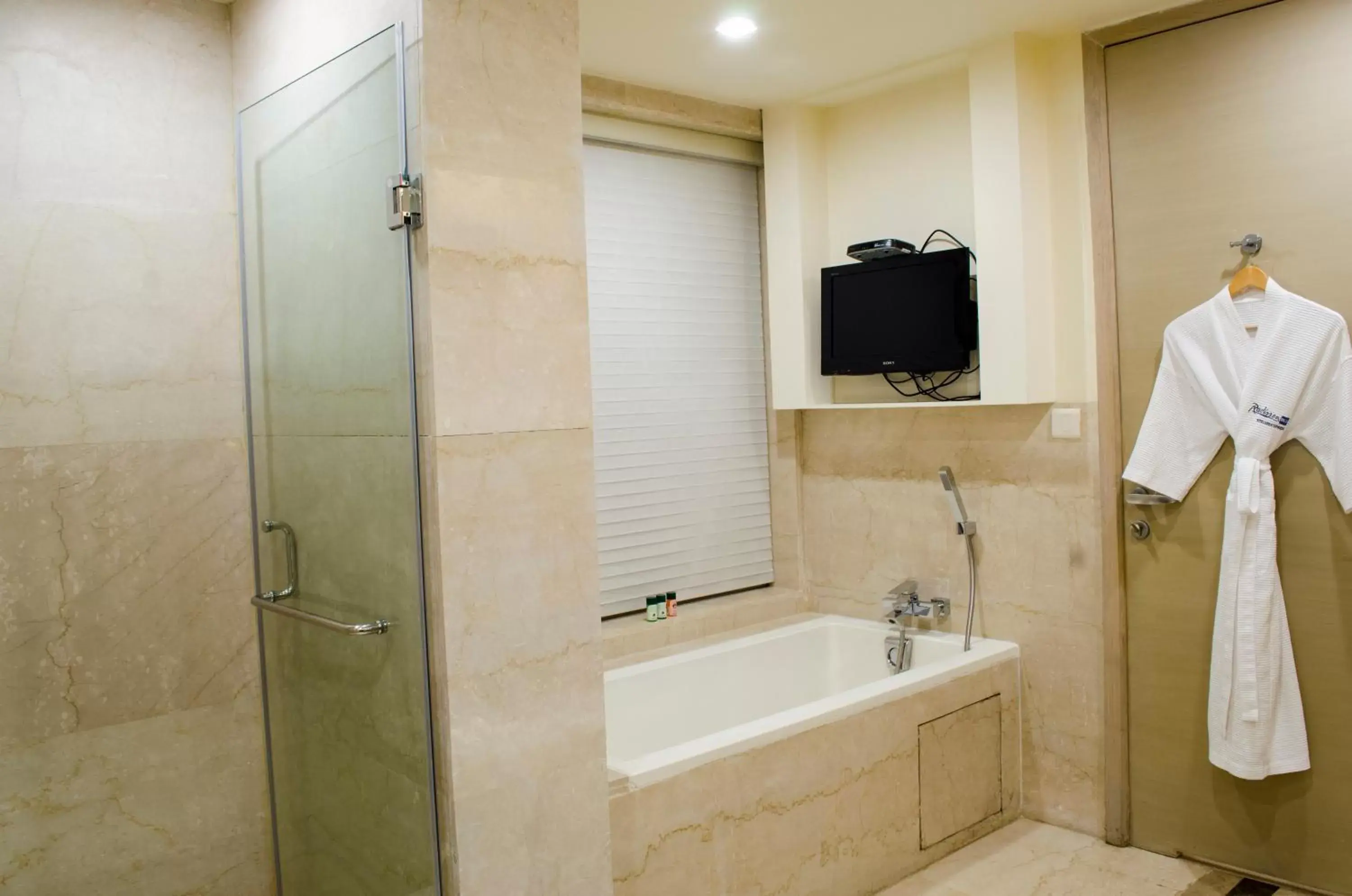 Bathroom in Radisson Blu Hotel, Greater Noida