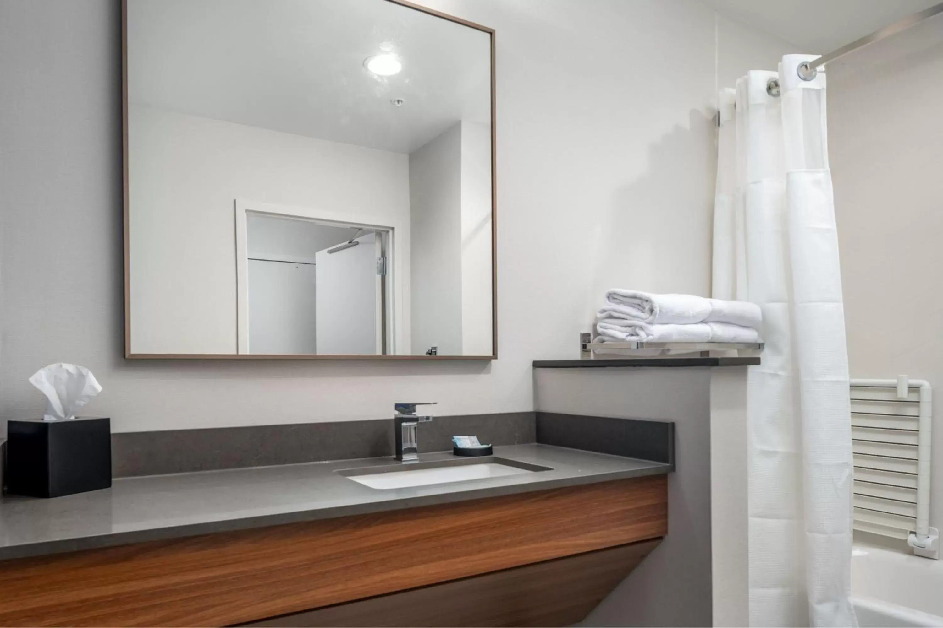 Bathroom in Fairfield by Marriott Inn & Suites Albertville