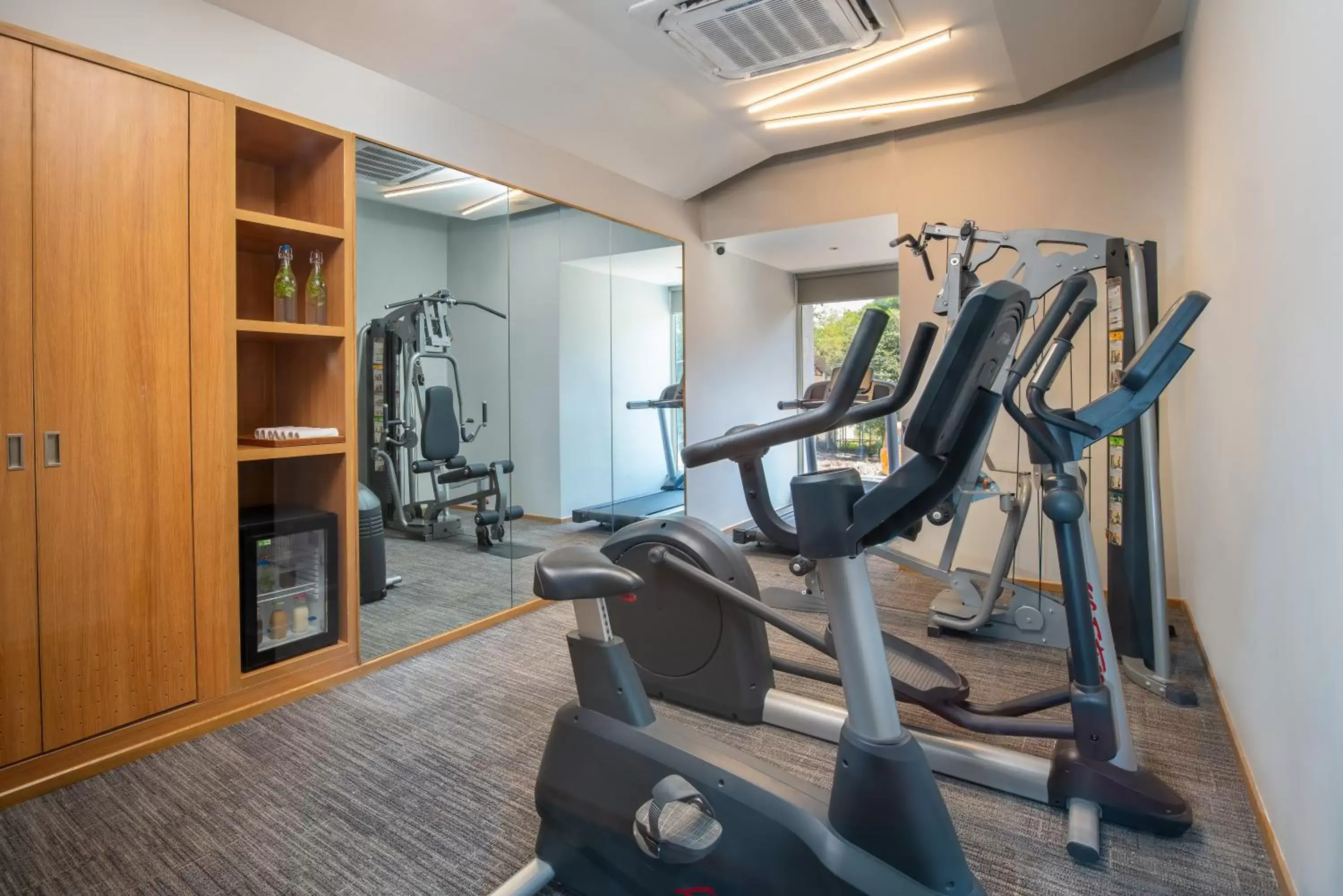 Fitness centre/facilities, Fitness Center/Facilities in Park Inn by Radisson Gwalior