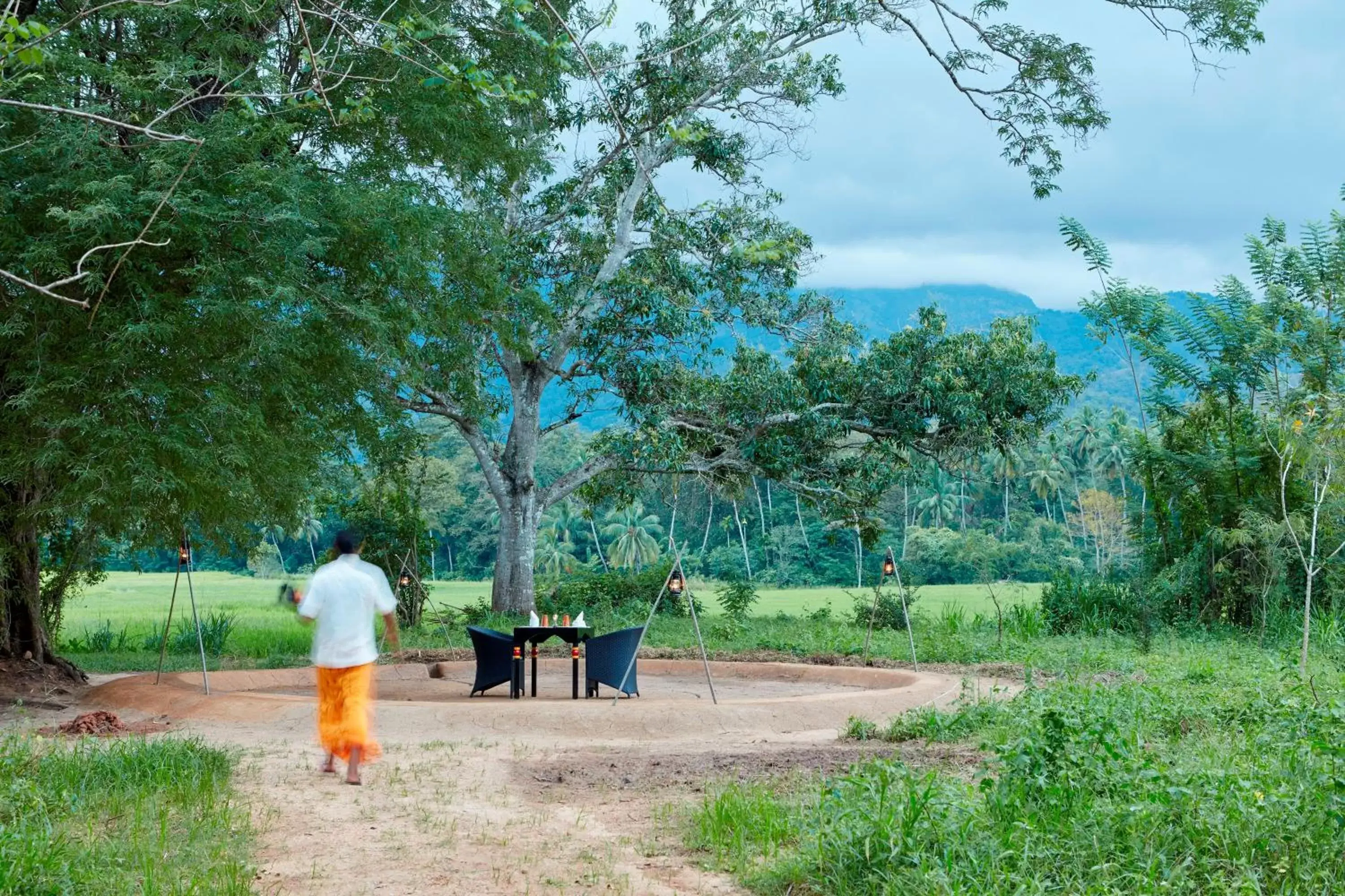 Garden in Jetwing Kaduruketha