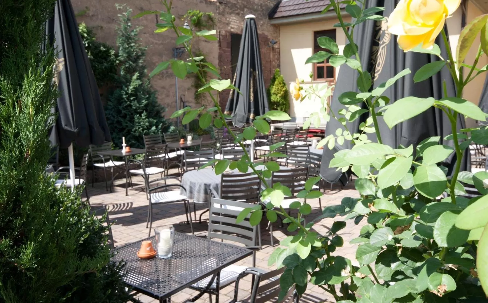 Patio in Linde Restaurant & Hotel