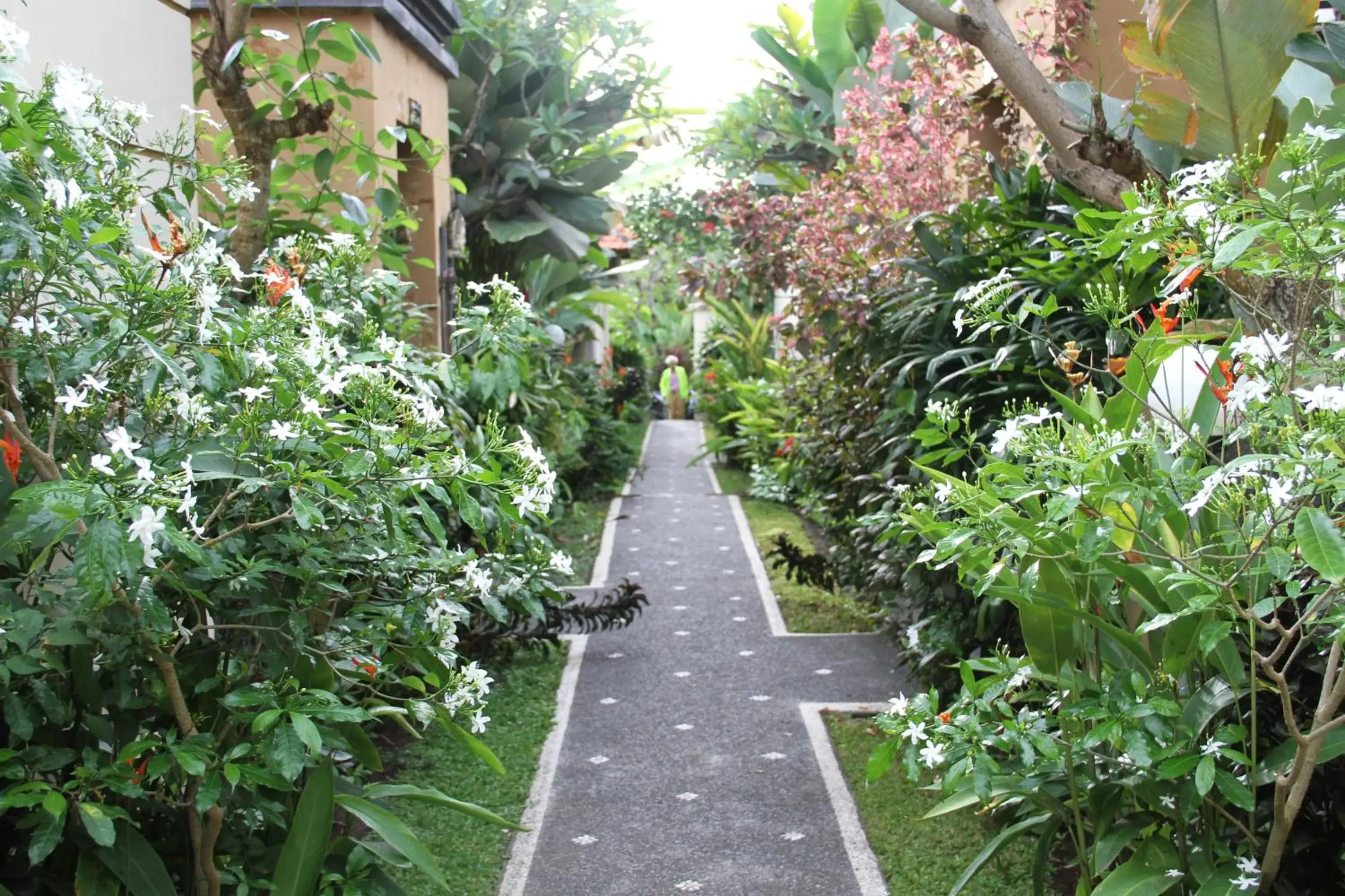 Garden view, Garden in Kadiga Villas Ubud