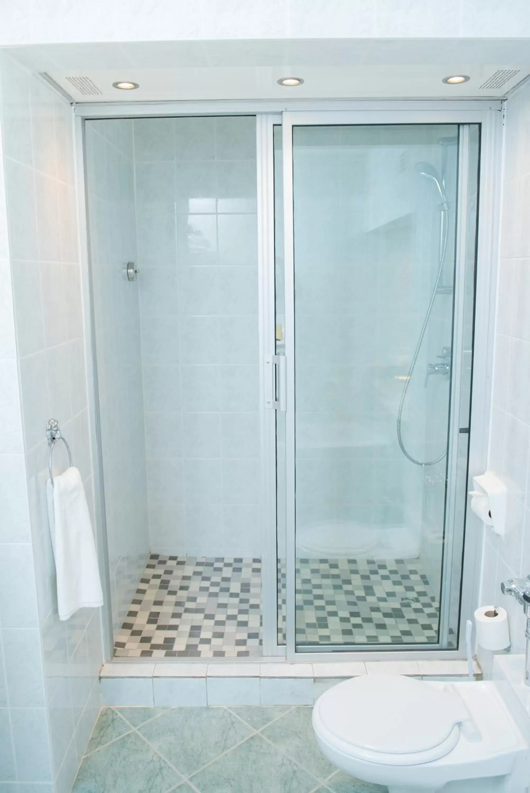 Shower, Bathroom in Holiday Inn - Mutare, an IHG Hotel