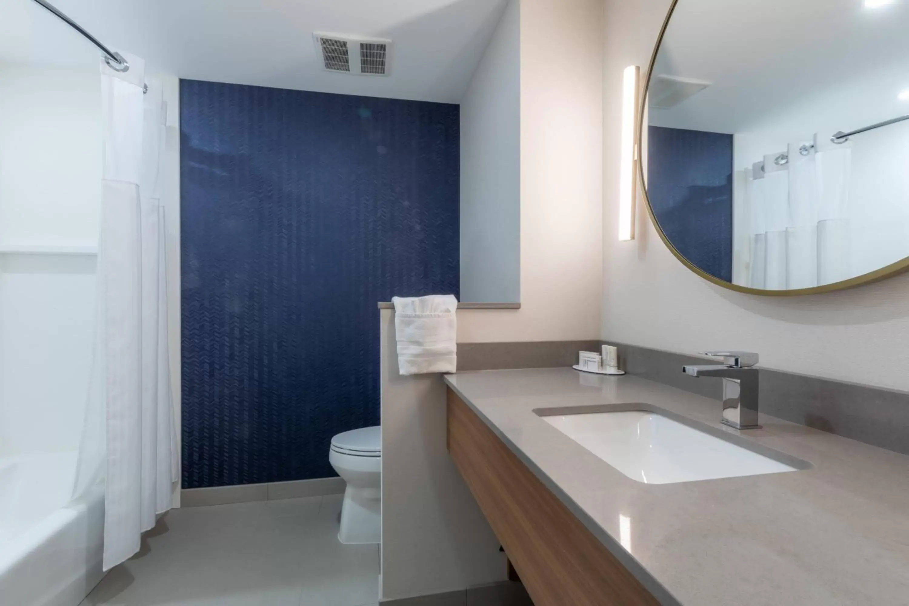 Bathroom in Fairfield Inn & Suites by Marriott Salmon Arm