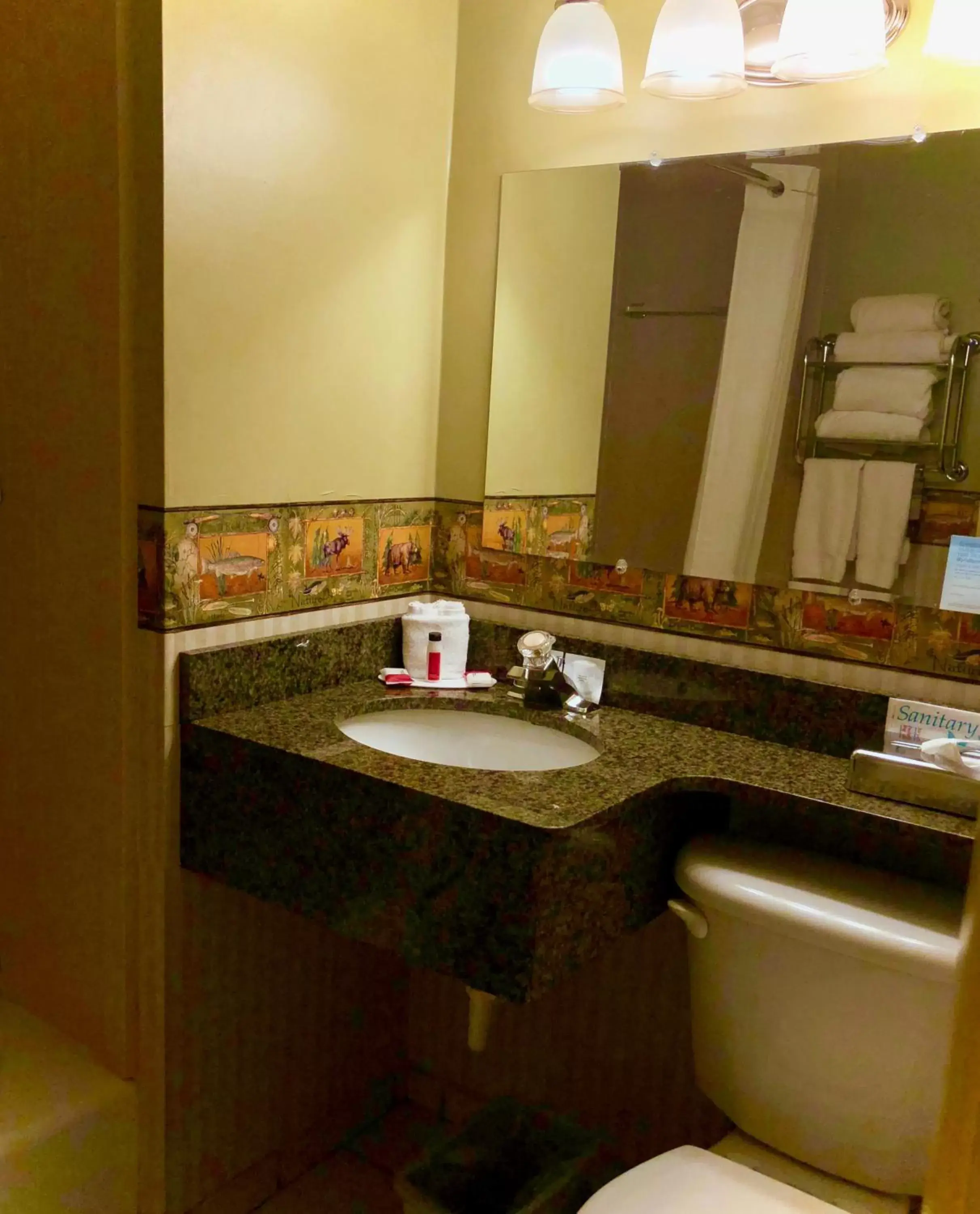 Bathroom in Super 8 by Wyndham Lake George/Downtown