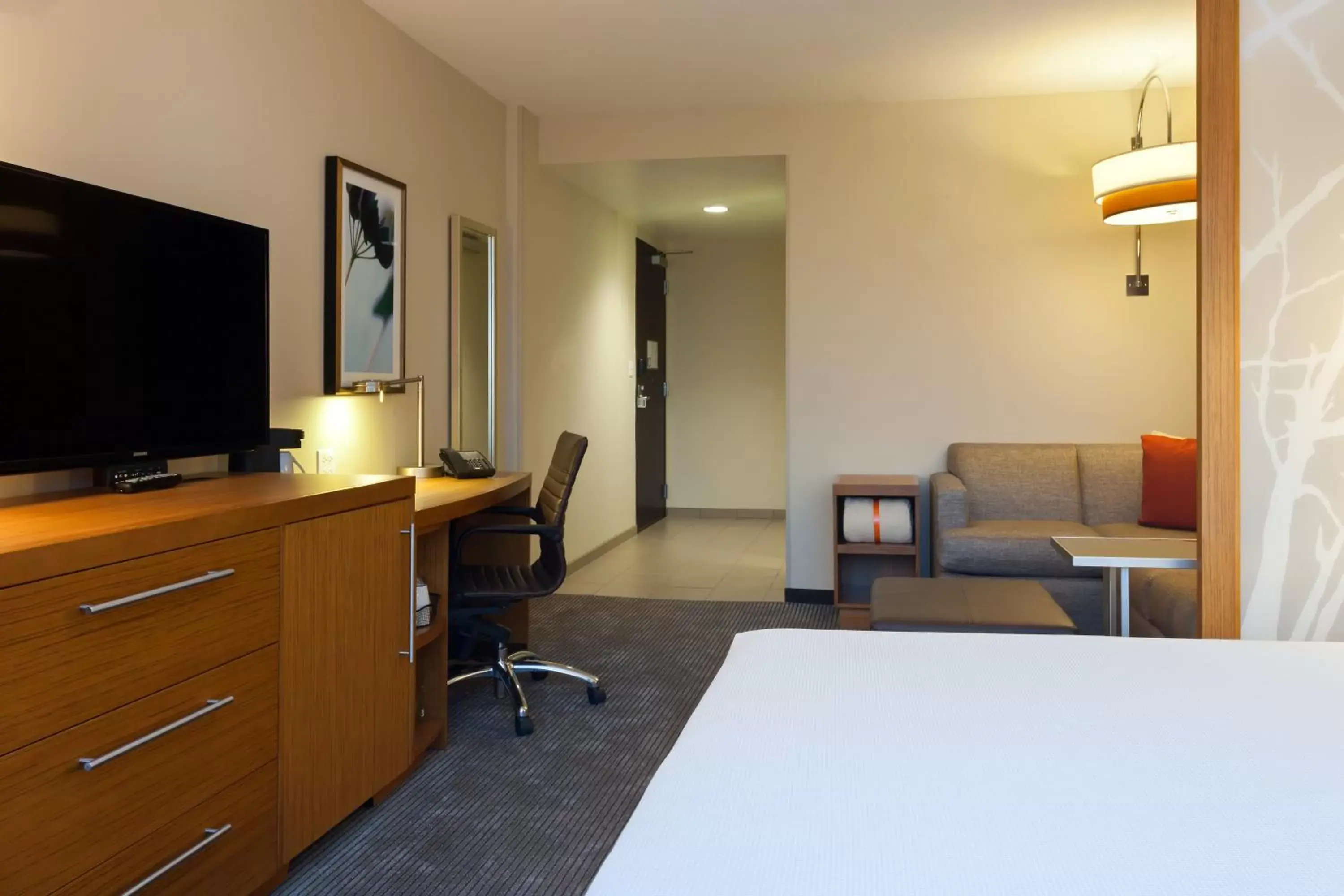 King Room with Sofa Bed and Roll-In Shower - Disability Access in Hyatt Place Chicago River North