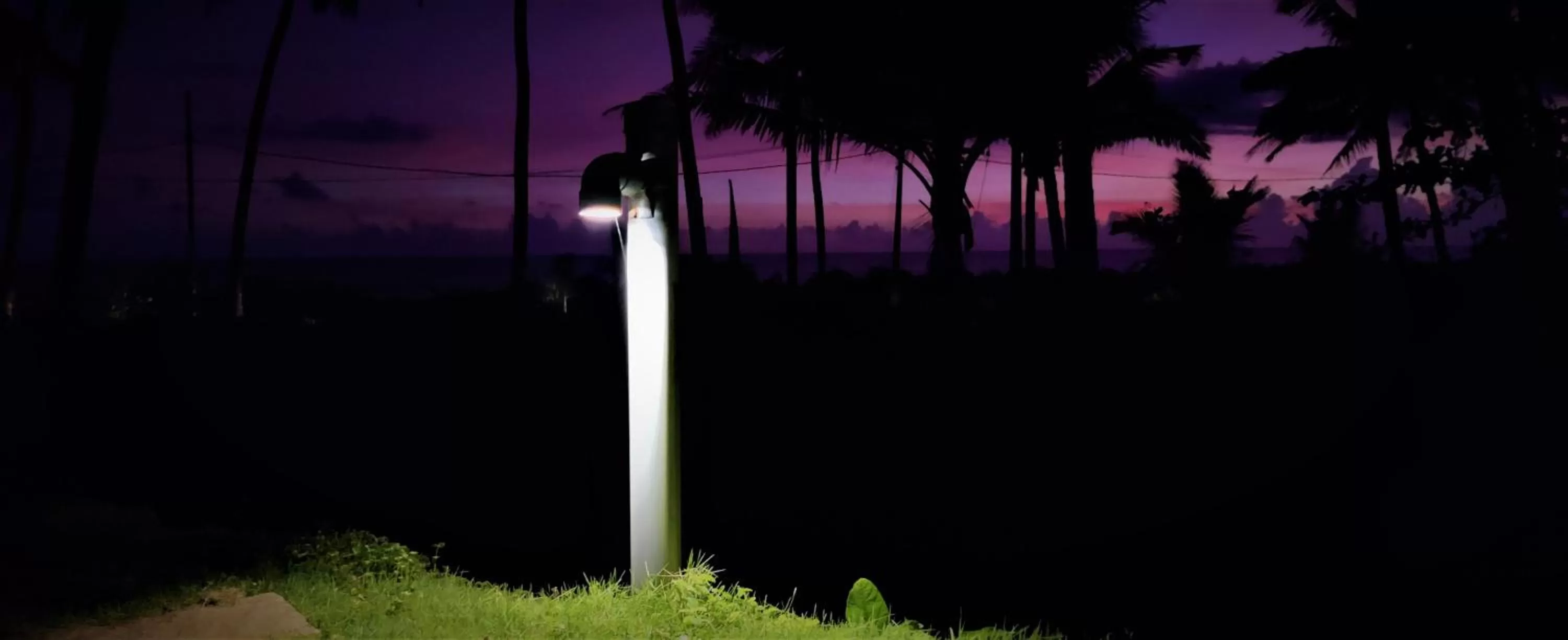 Garden in White Shell