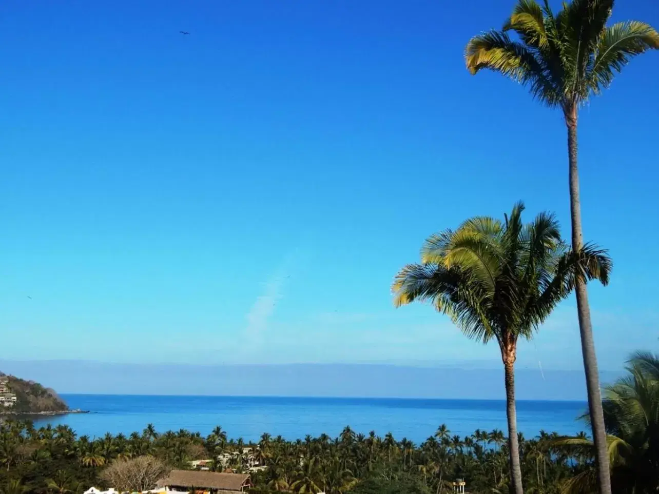 Sea View in Villa Los Corales