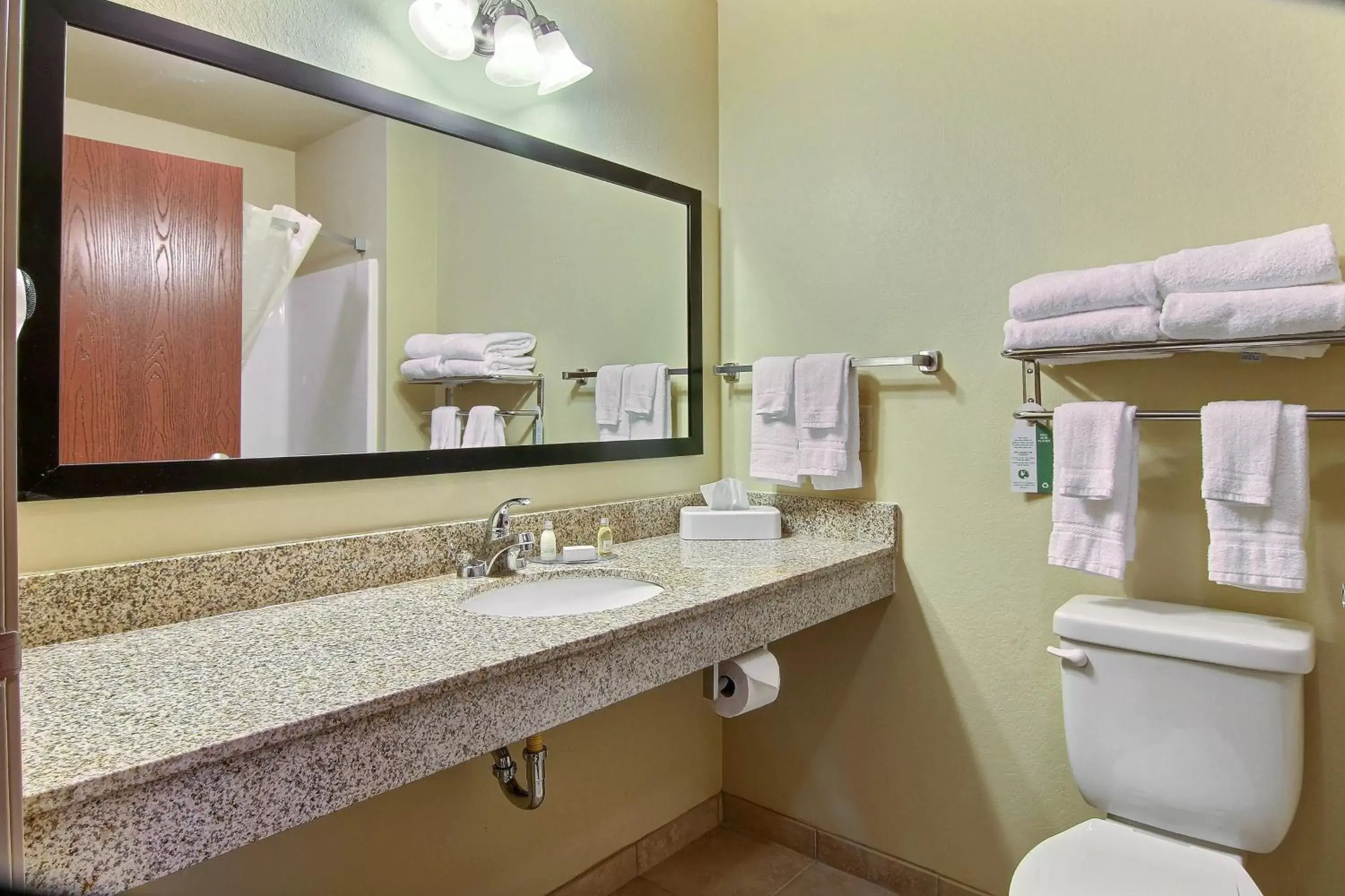 Toilet, Bathroom in Cobblestone Hotel and Suites - Jefferson