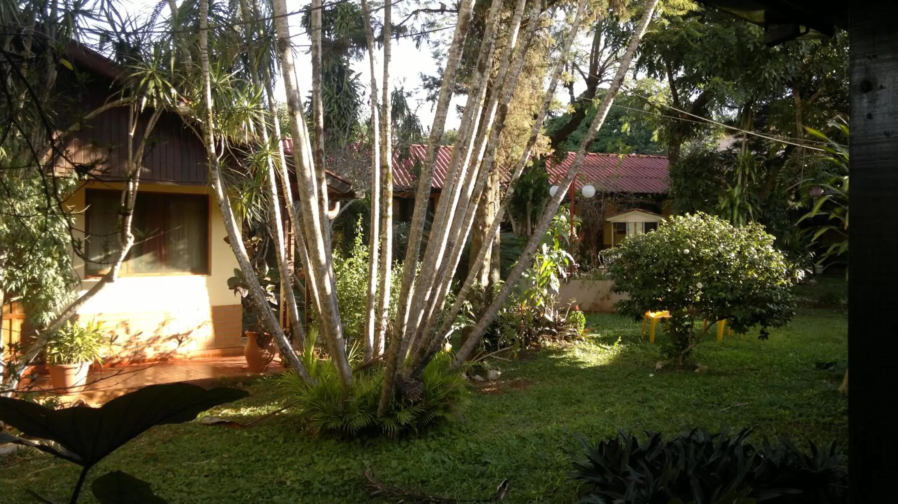 Garden, Property Building in Hosteria Los Helechos