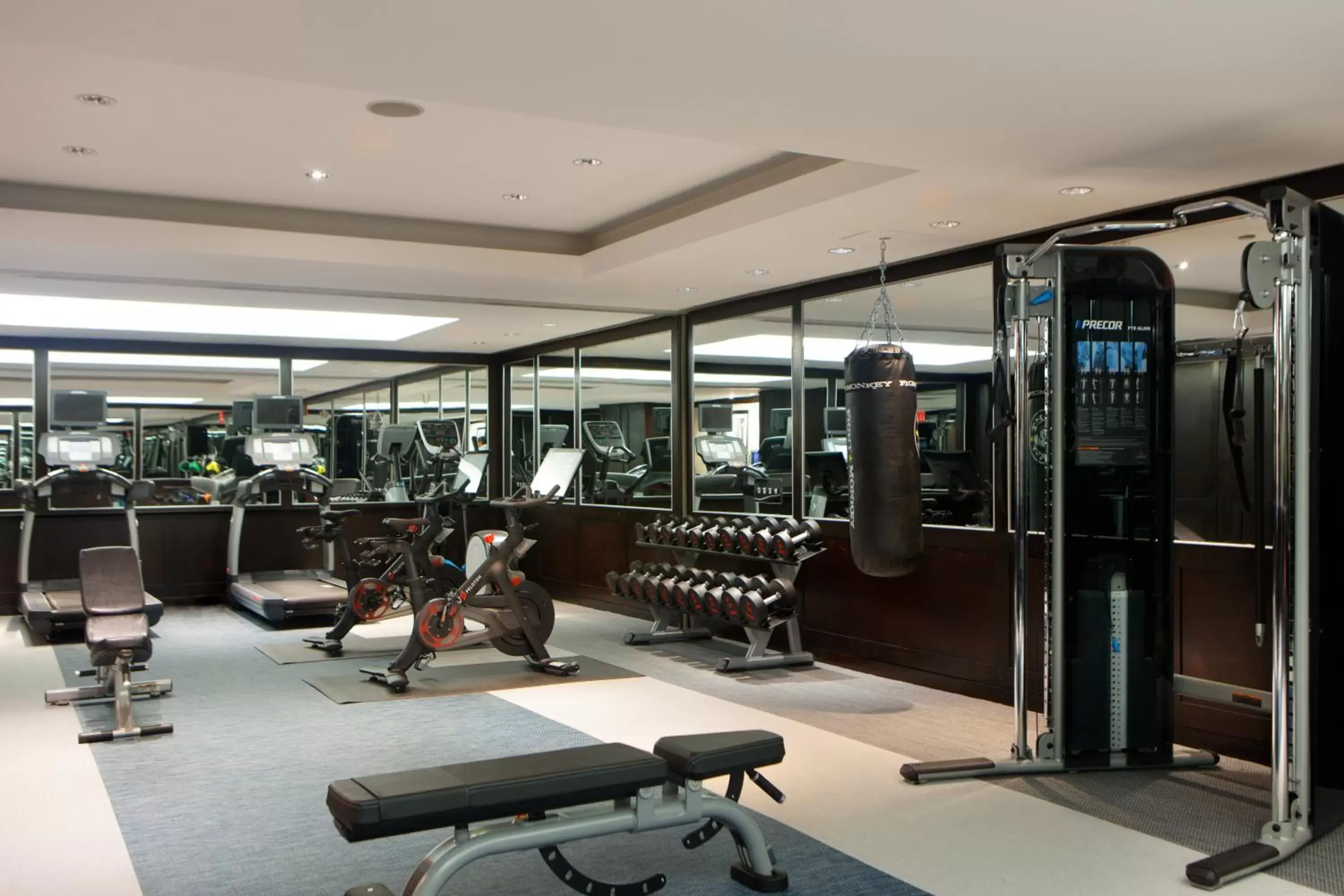 Spa and wellness centre/facilities, Fitness Center/Facilities in The Muse New York