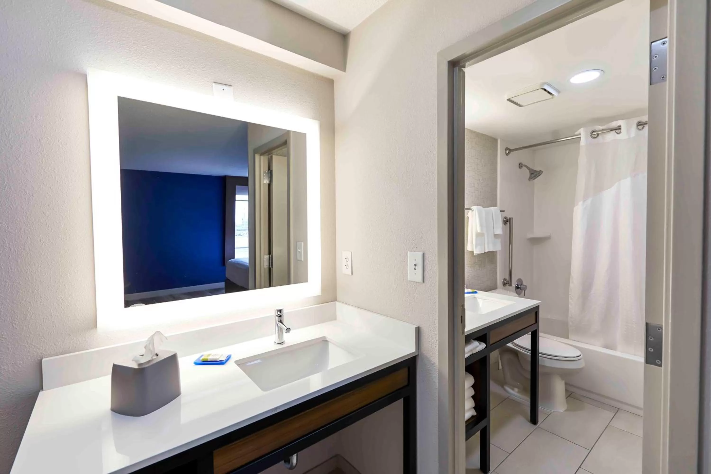 Bathroom in Holiday Inn Express Nashville-Downtown - Broadway by IHG