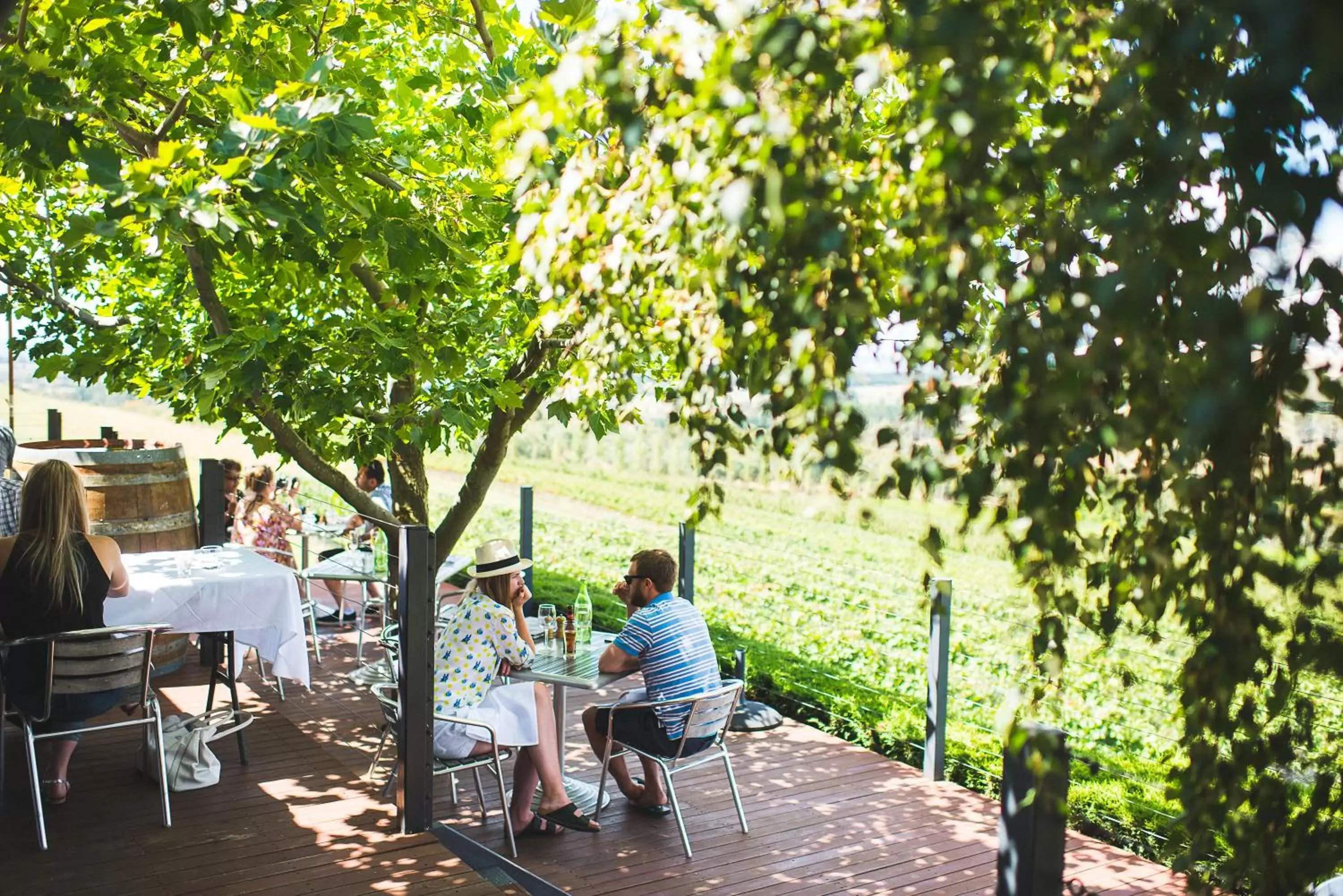 Restaurant/places to eat in Borrodell Vineyard