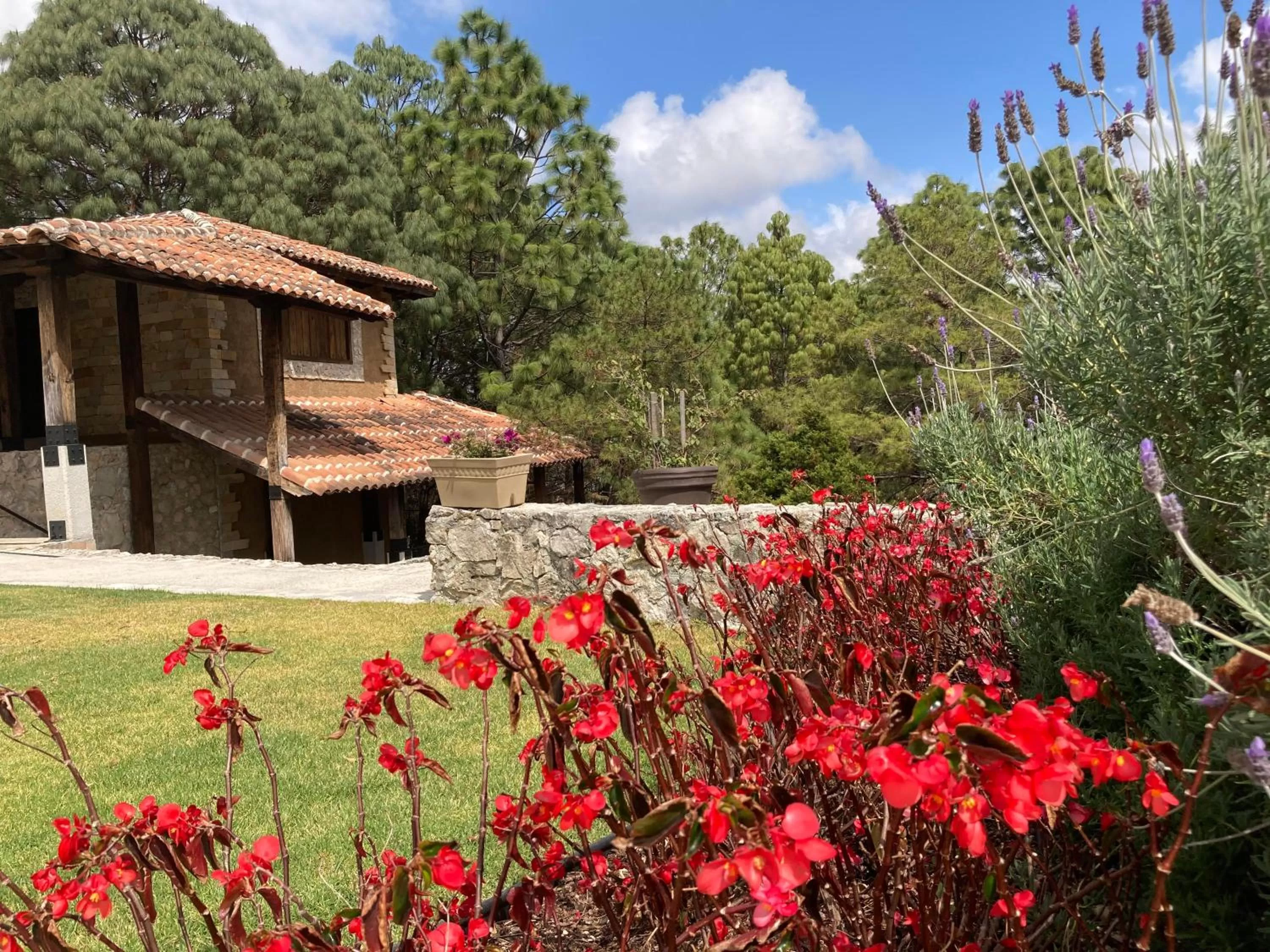 Garden in Hotel Rocaval San Cristóbal de las Casas