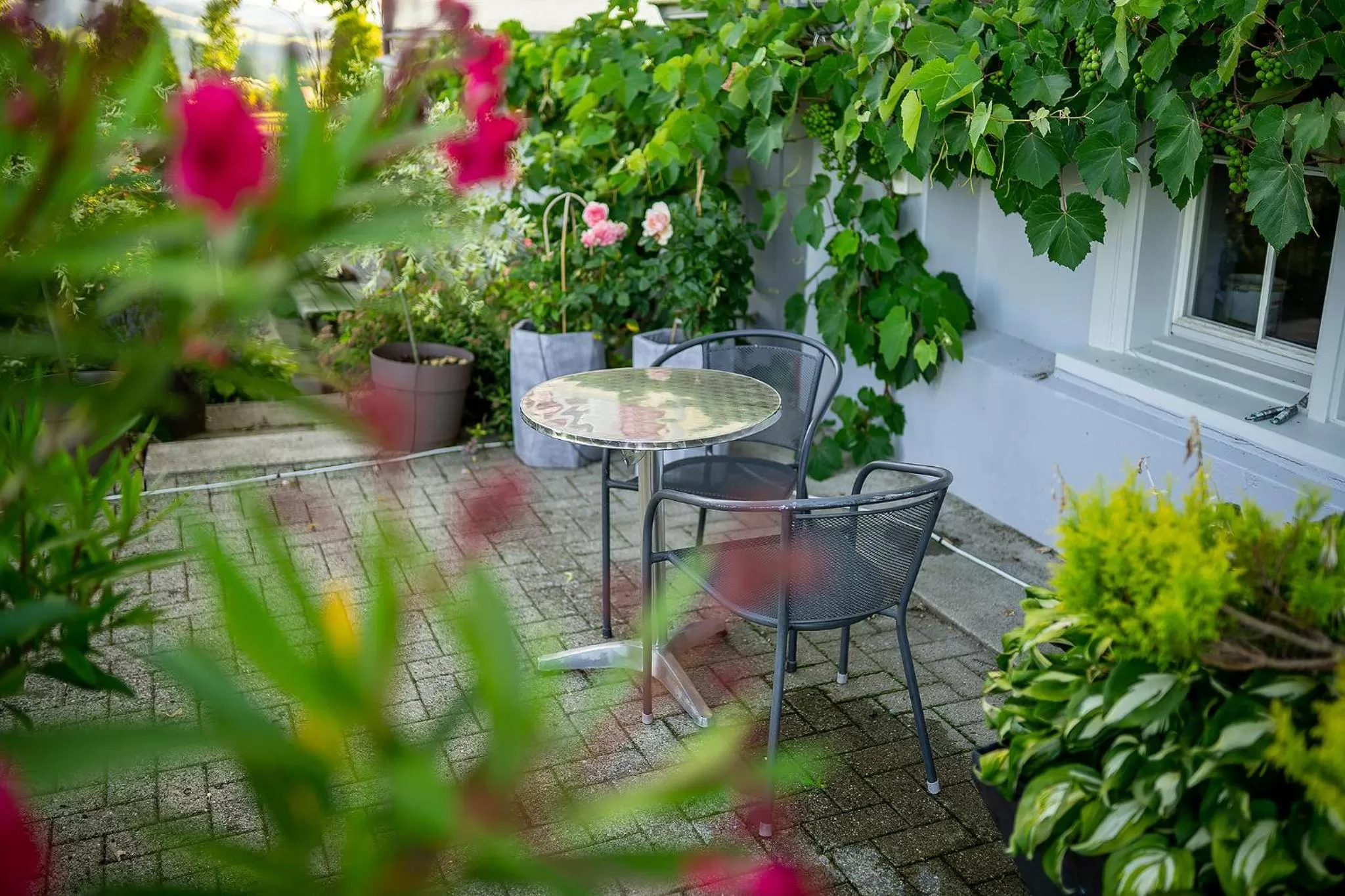 Patio in Gästehaus Aemisegg