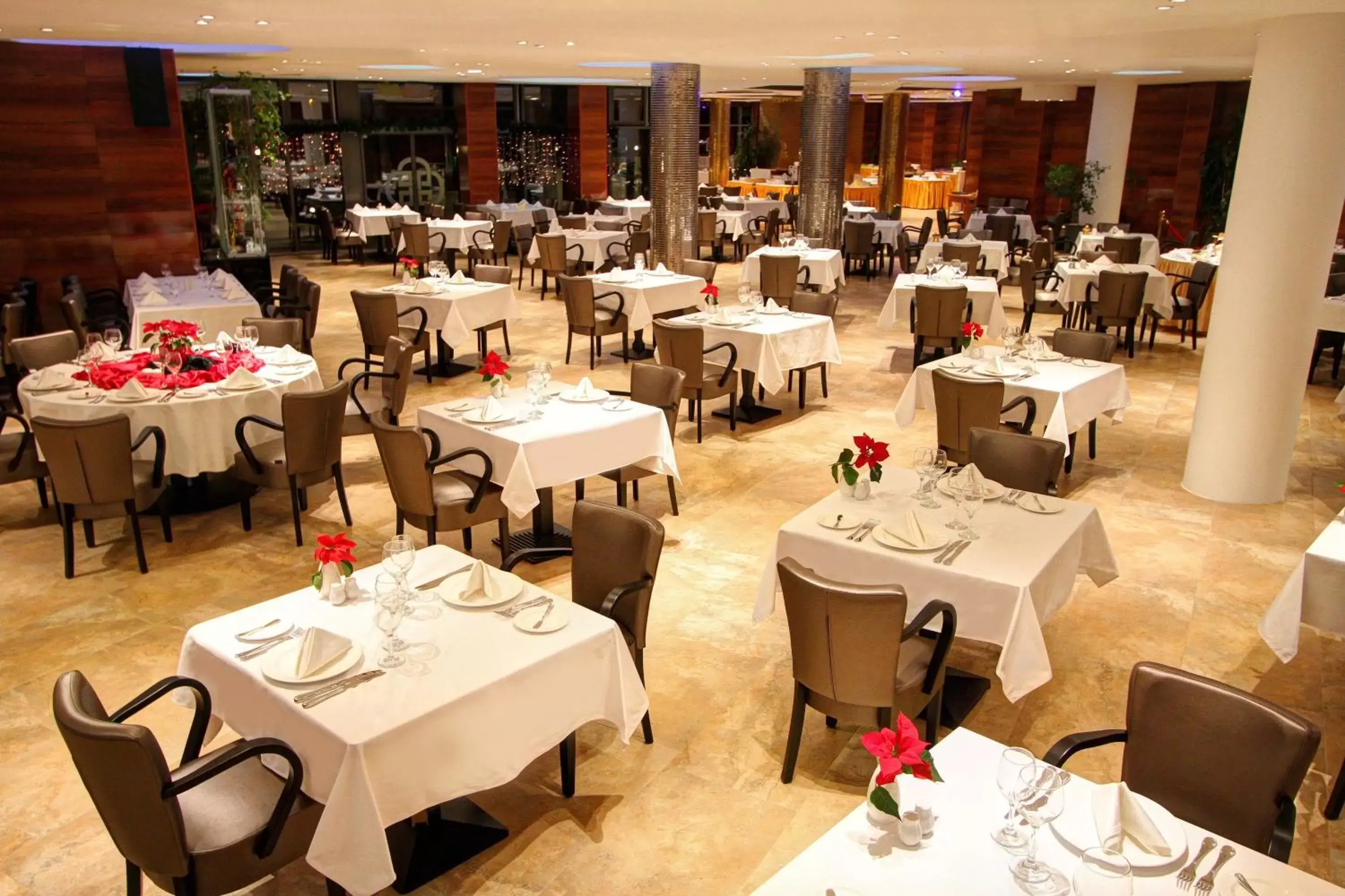 Restaurant/Places to Eat in Hotel Divinus