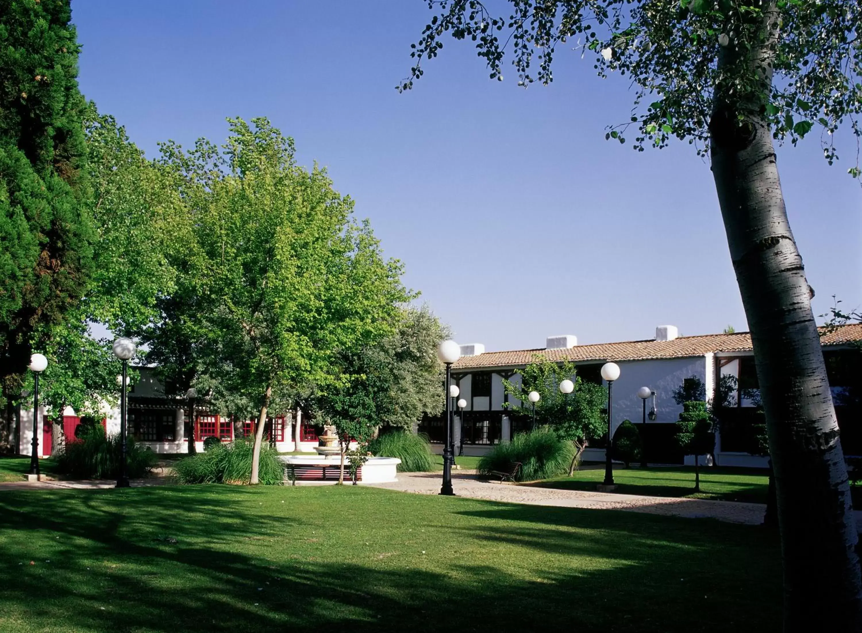 Patio, Property Building in Parador de Albacete