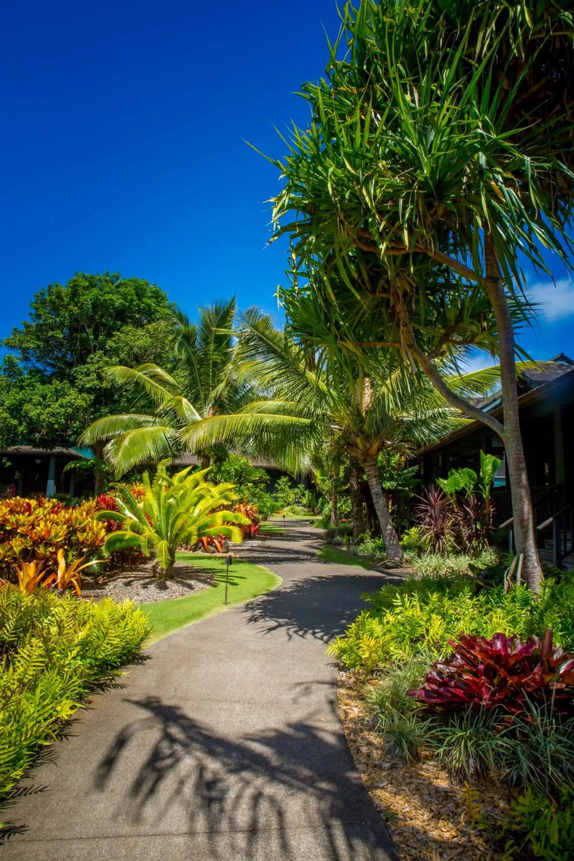 Garden in Lumeria Maui, Educational Retreat Center