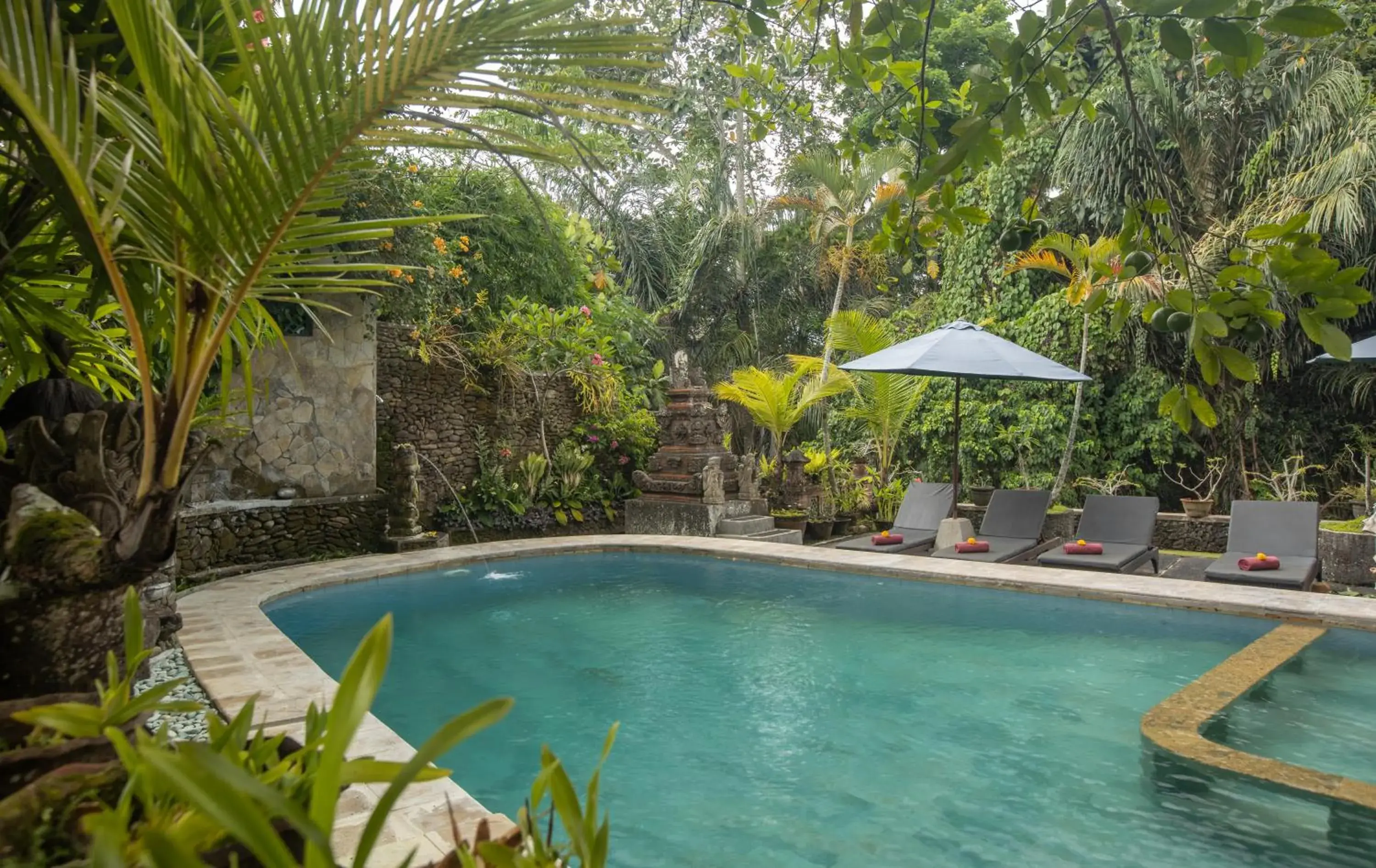 Pool view, Swimming Pool in Ketut's Place Bed & Breakfast Ubud