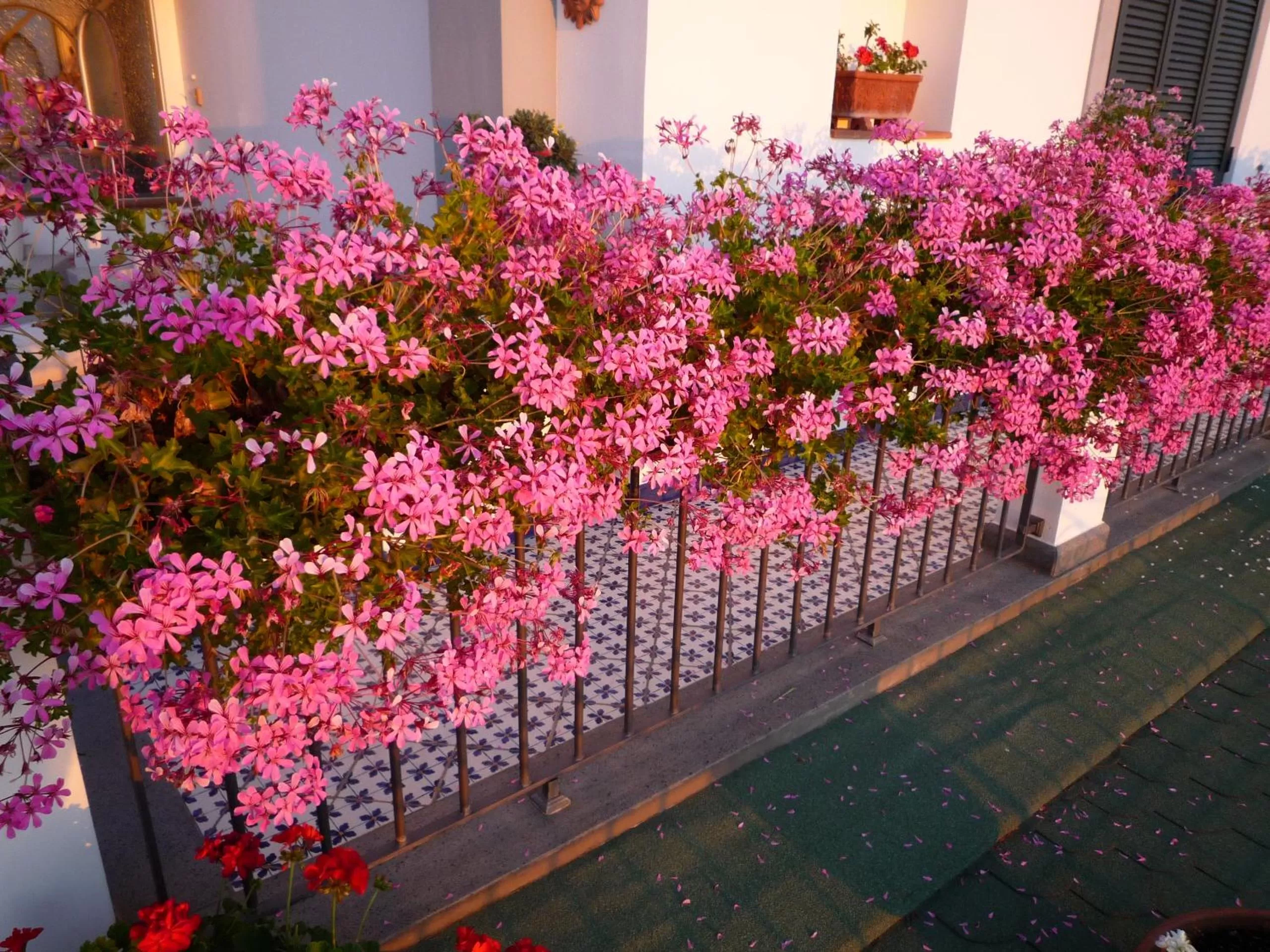 Balcony/Terrace in b&b Dea Fortuna