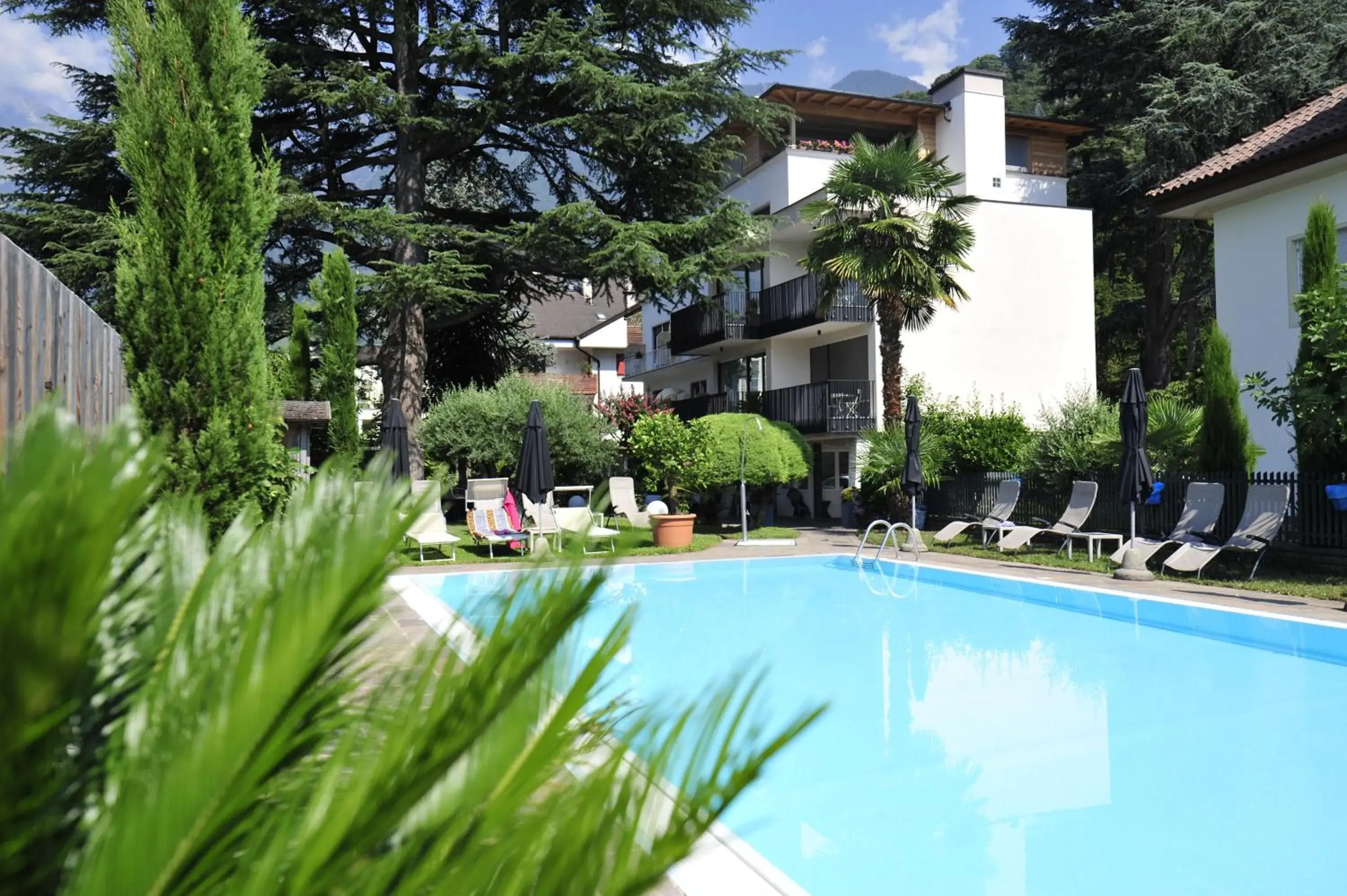 Swimming Pool in Hotel Jasmin