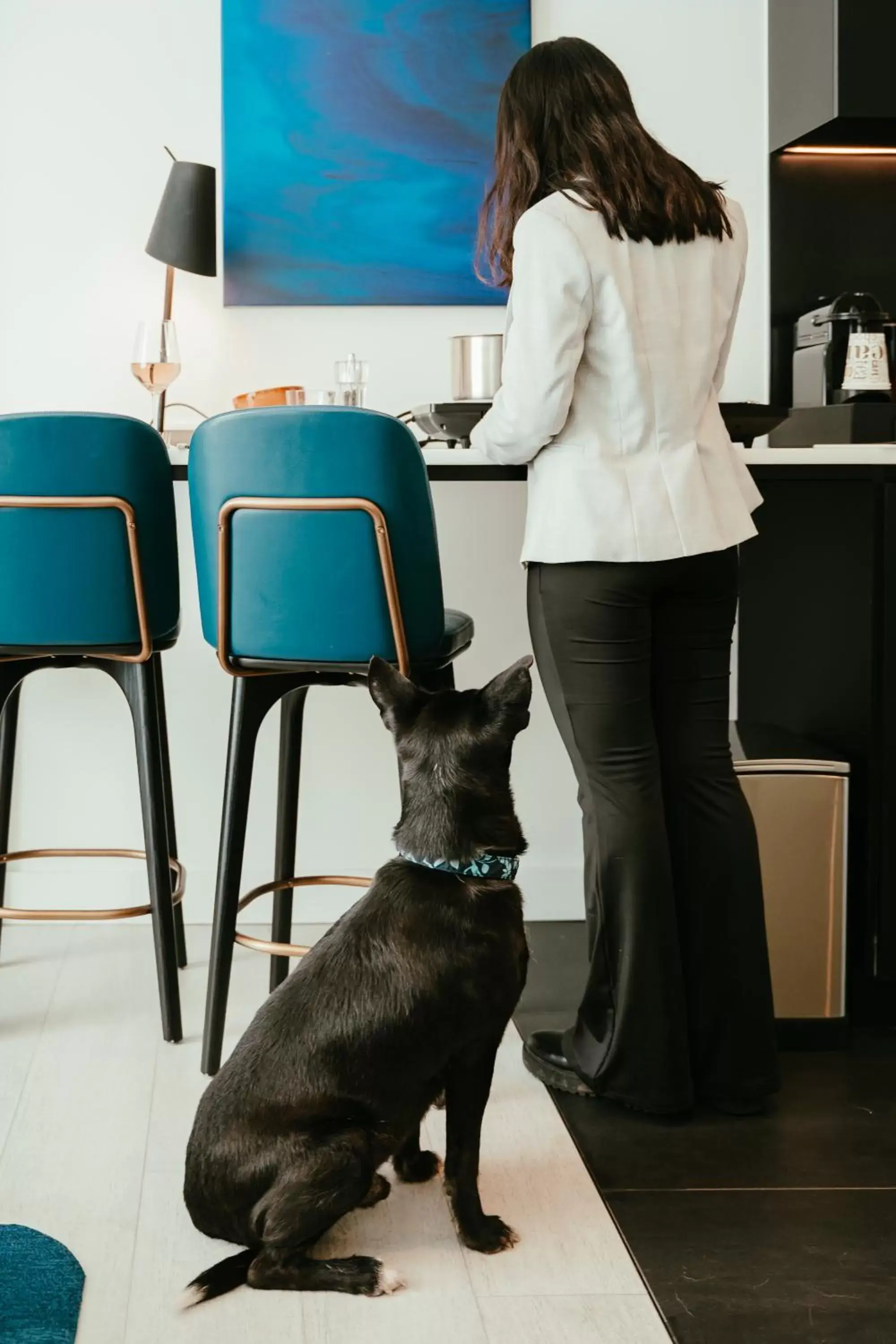 Pets in Residence Inn Ghent by Marriott
