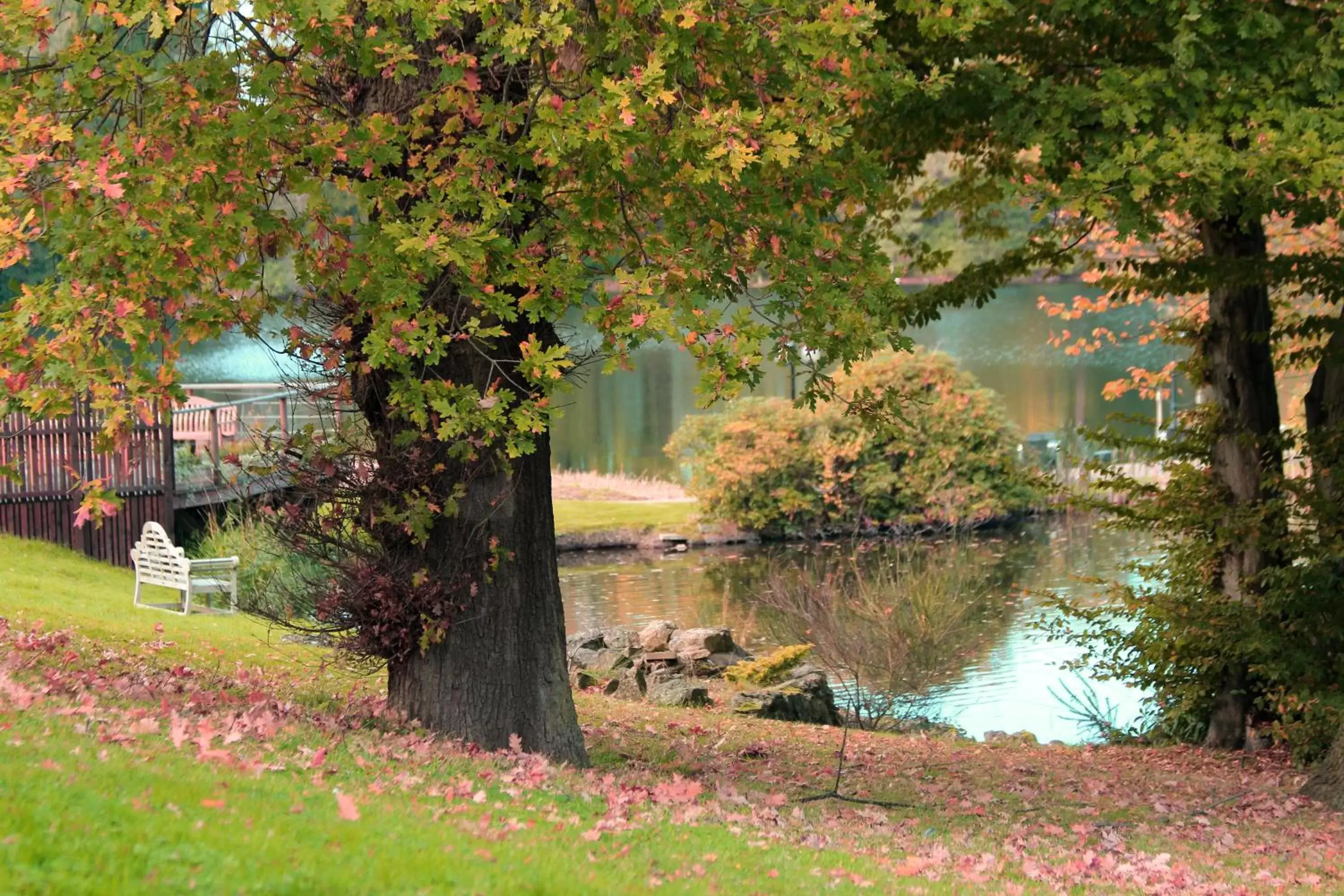 Autumn, Garden in Inn On The Lake