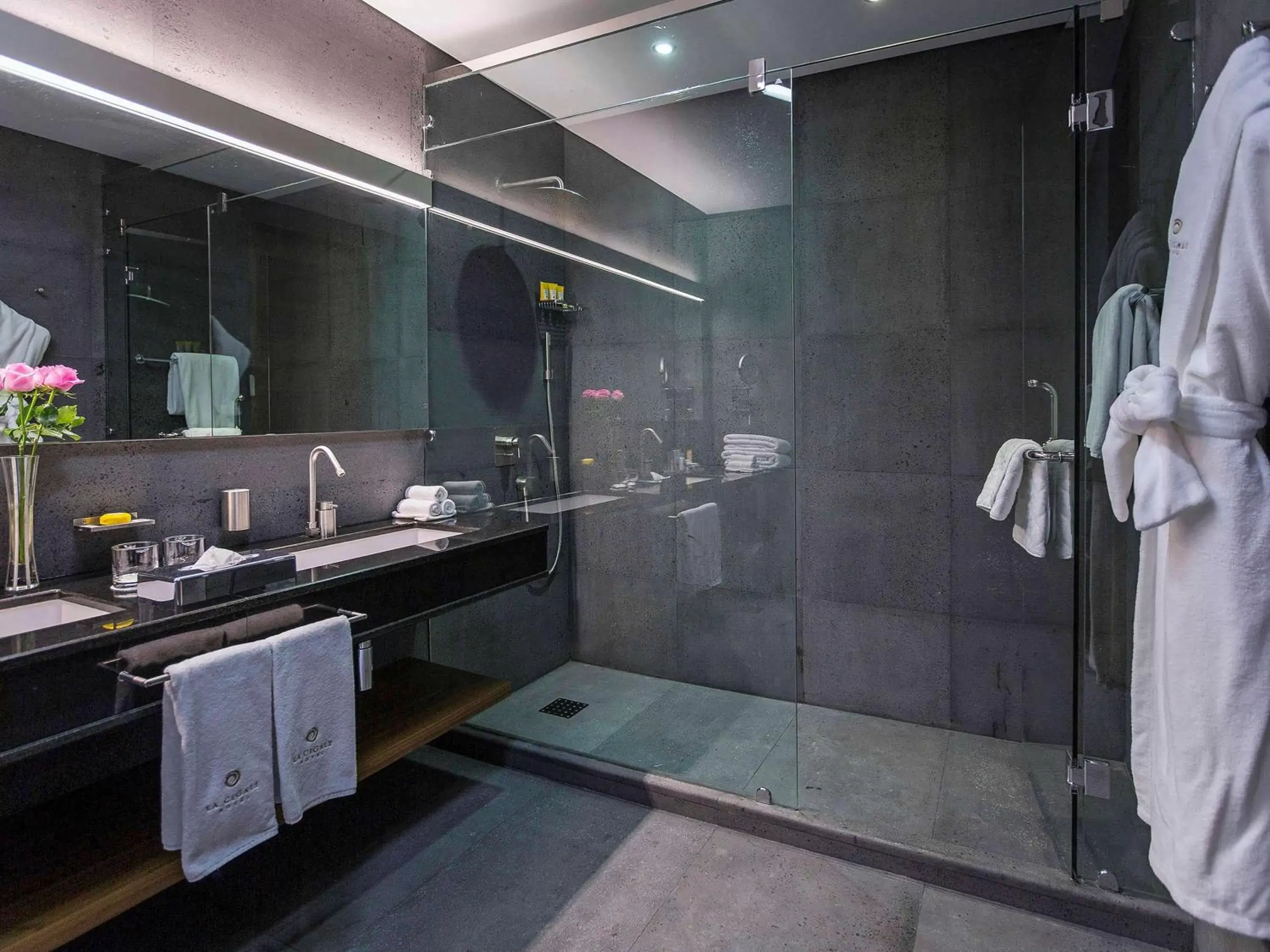 Photo of the whole room, Bathroom in La Cigale Hotel Managed by Accor