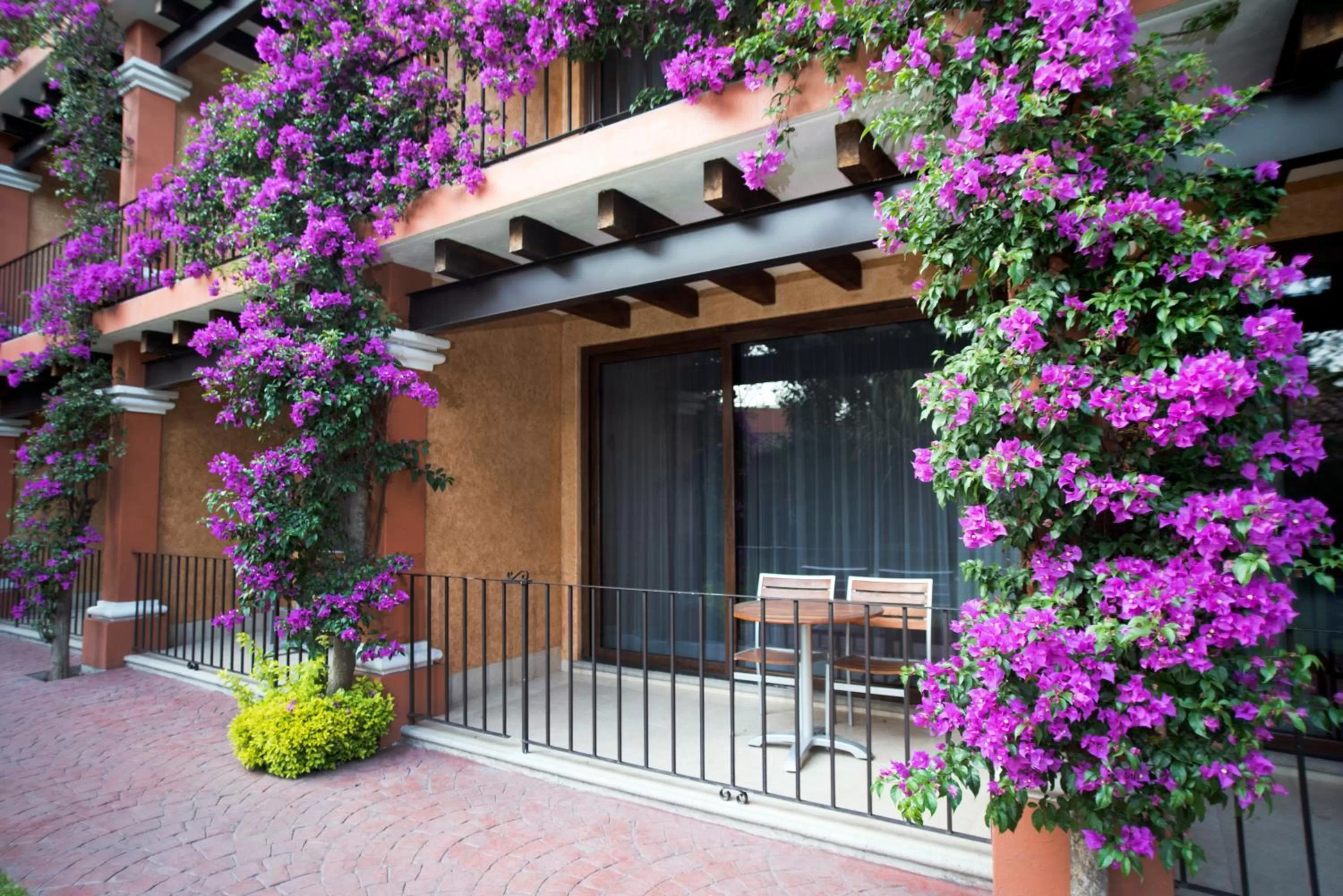 View (from property/room) in Hosteria Las Quintas Hotel Restaurante Bar