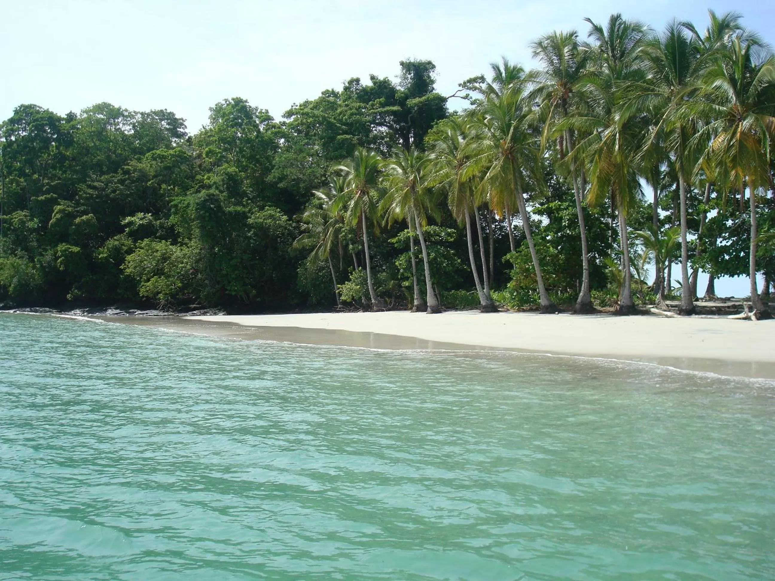 Beach in Hotel Panamonte