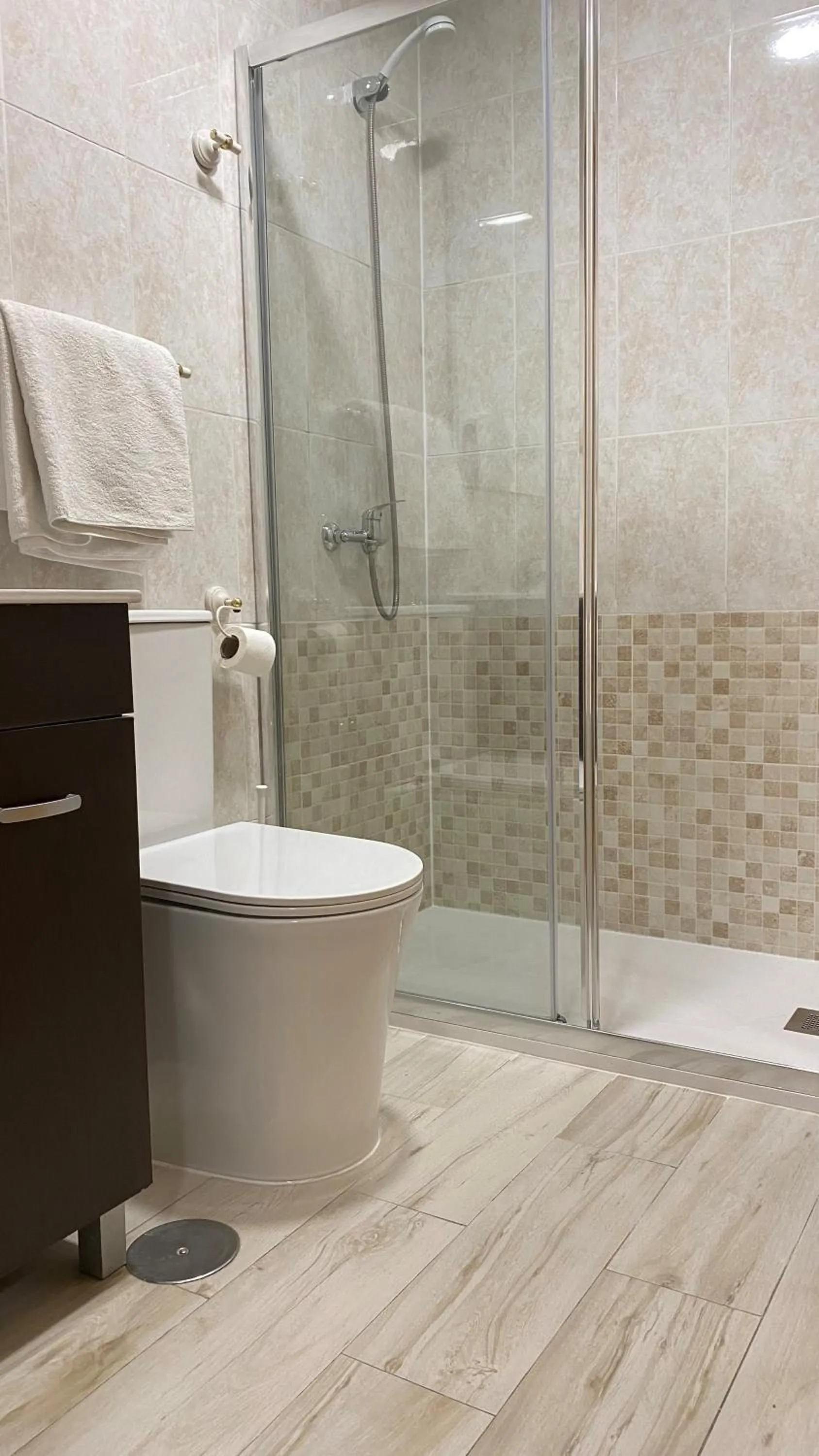 Toilet in Hotel Cuatro Caños