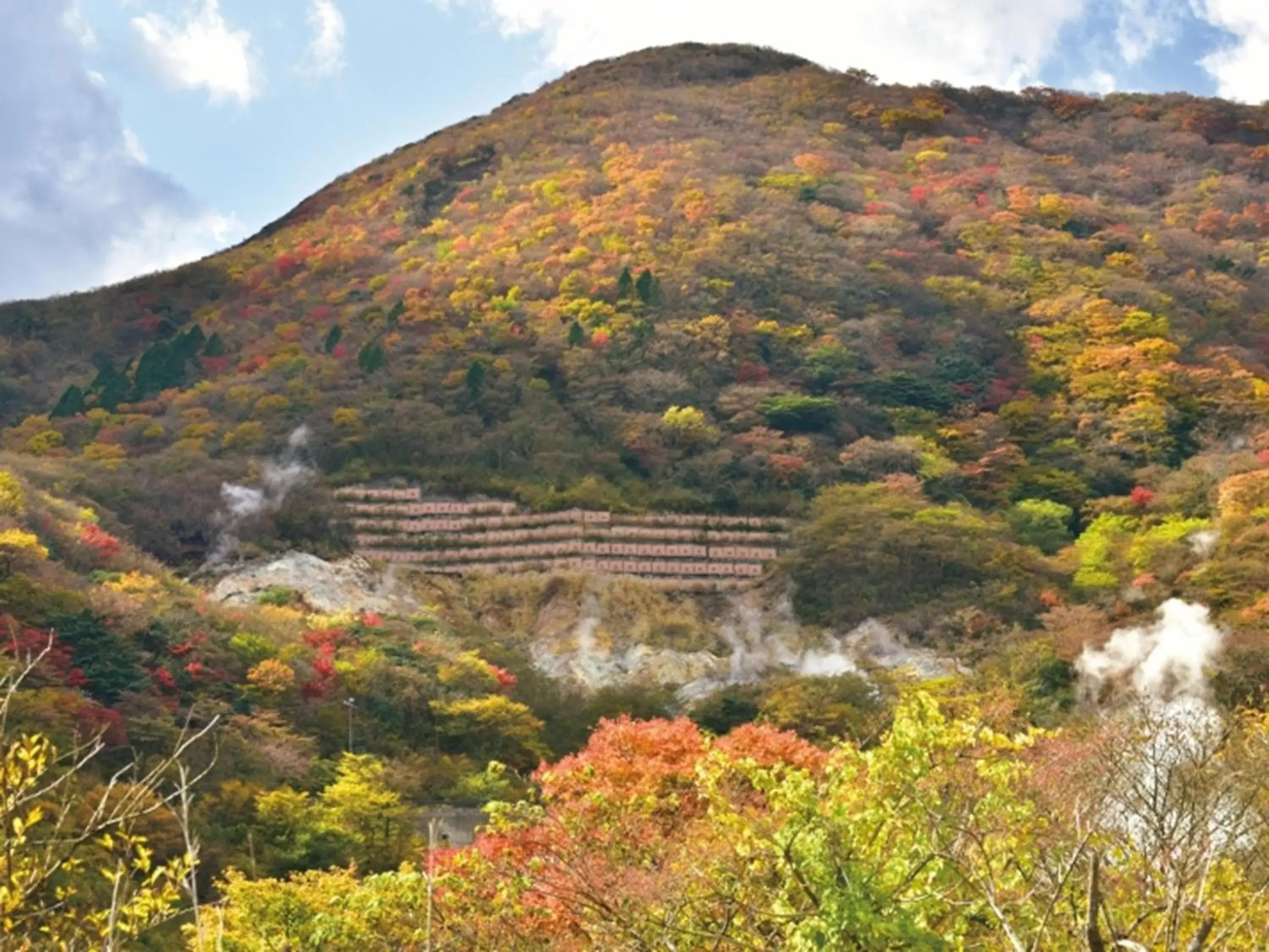 Natural Landscape in Hakone Yunohana Prince Hotel