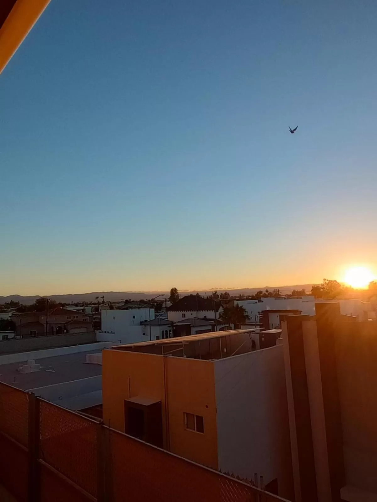 Day in Extended Suites Tijuana Macroplaza