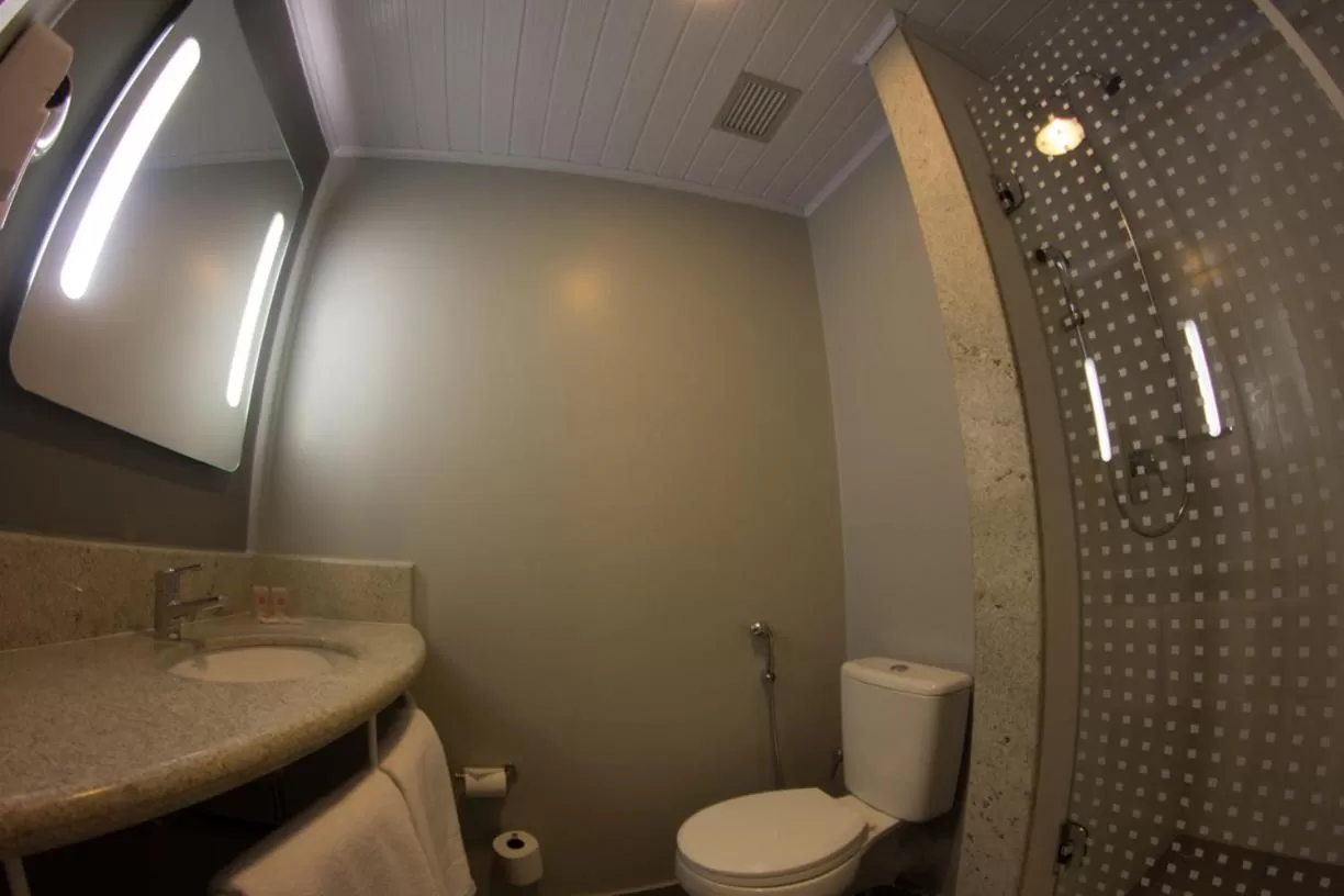 Bathroom in ibis Catalao