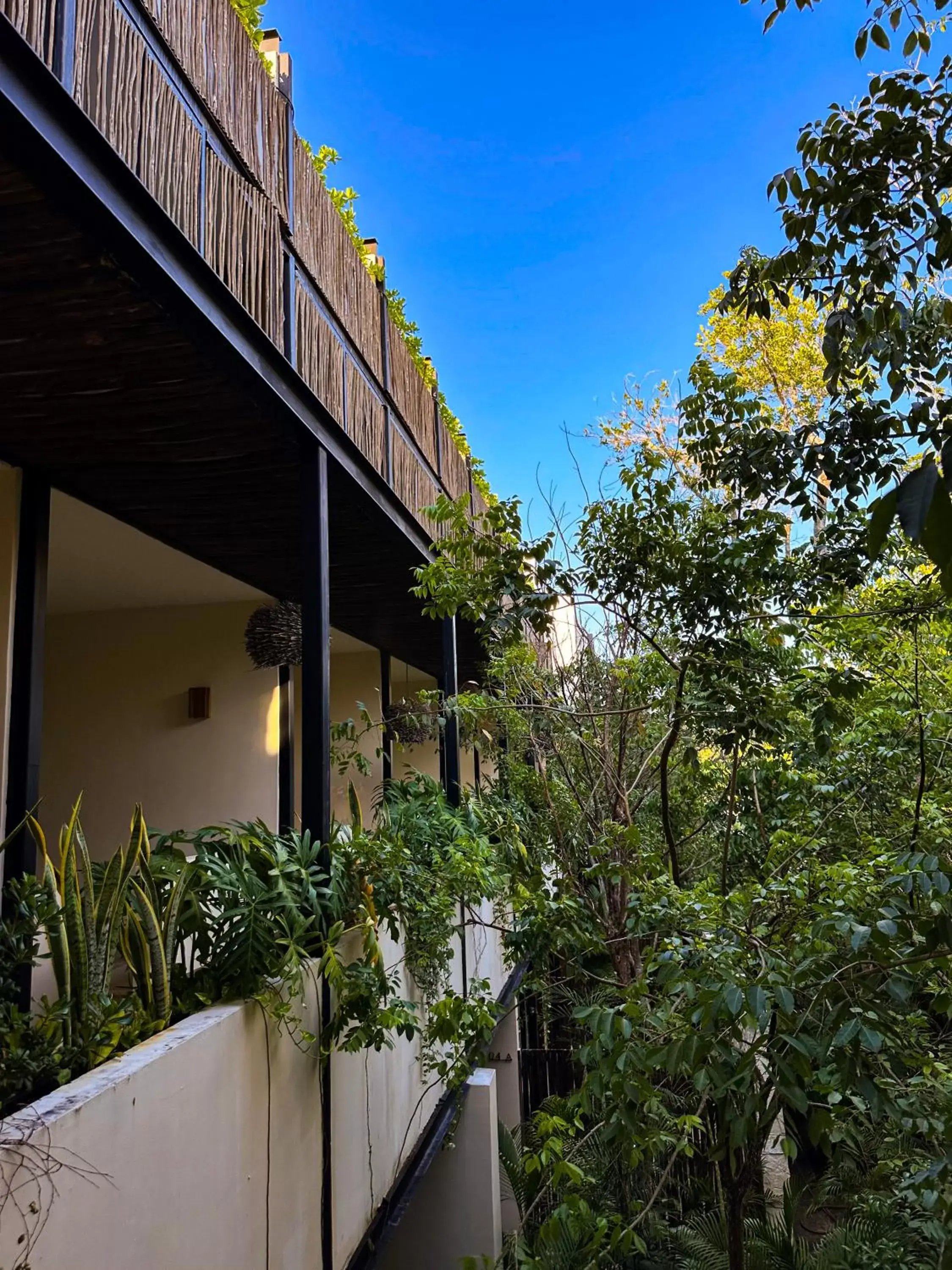 Garden view in Kuukum Tulum Hotel