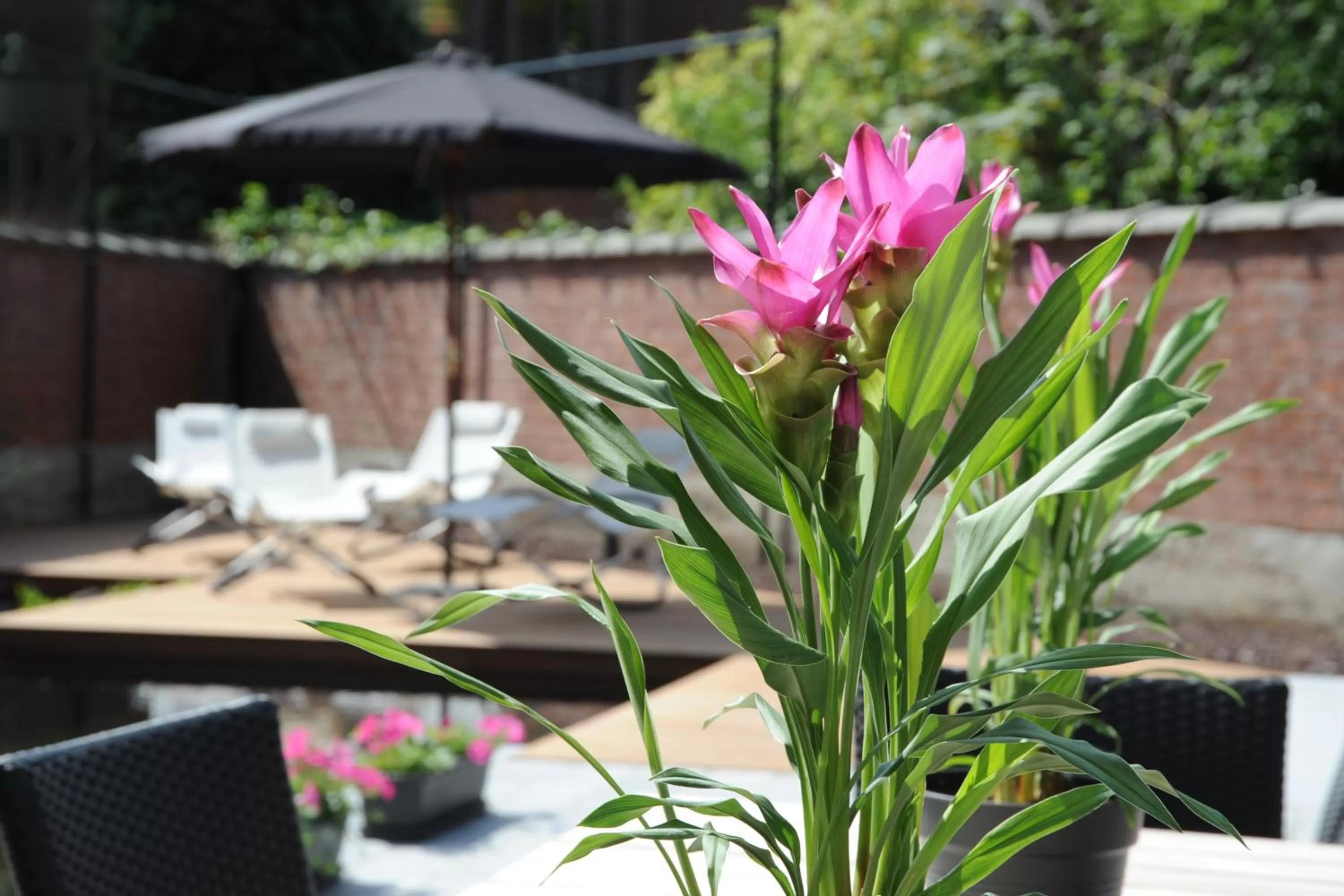 Decorative detail in Charmehotel Villa Saporis