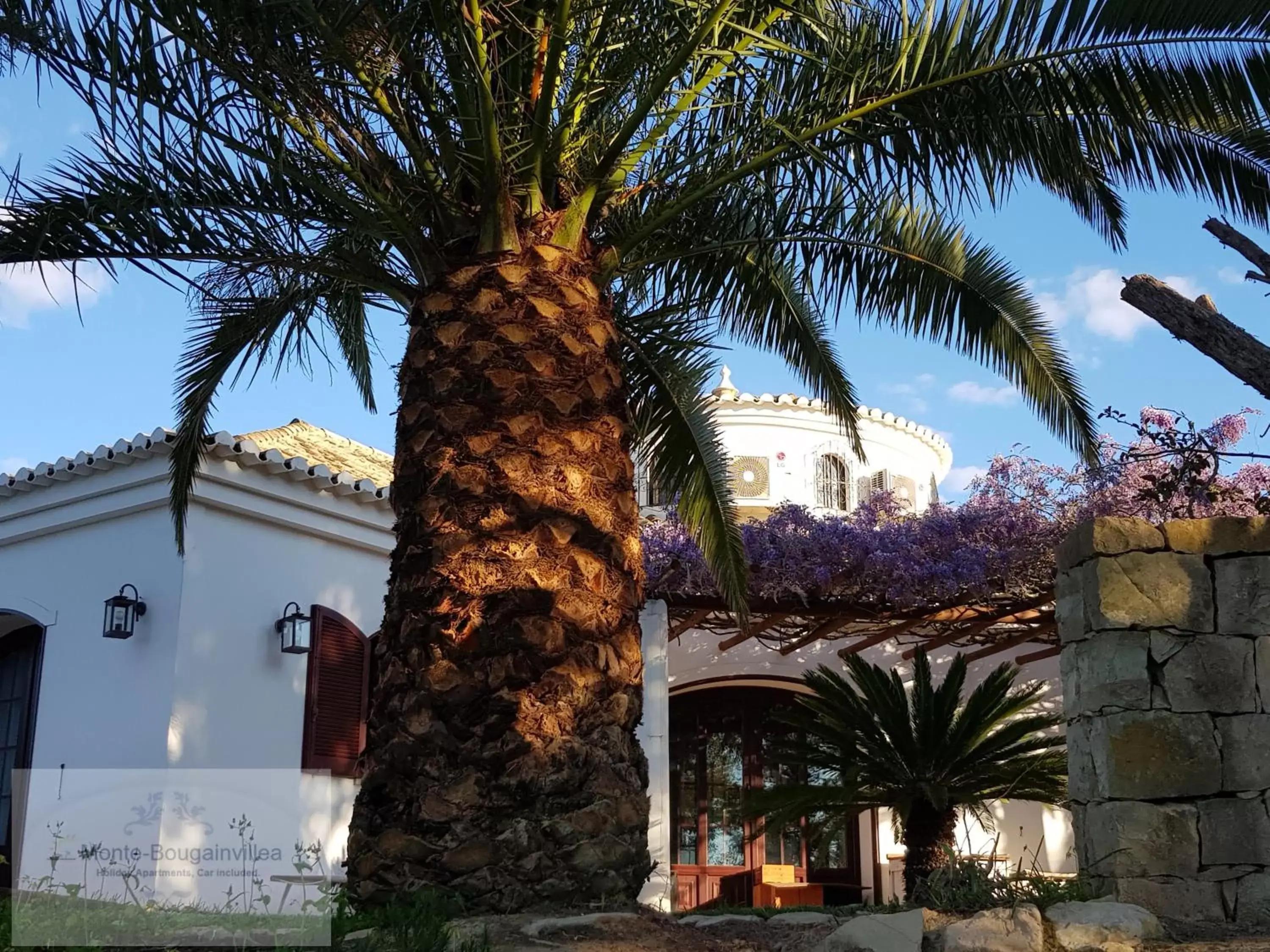 Property Building in Monte-Bougainvillea