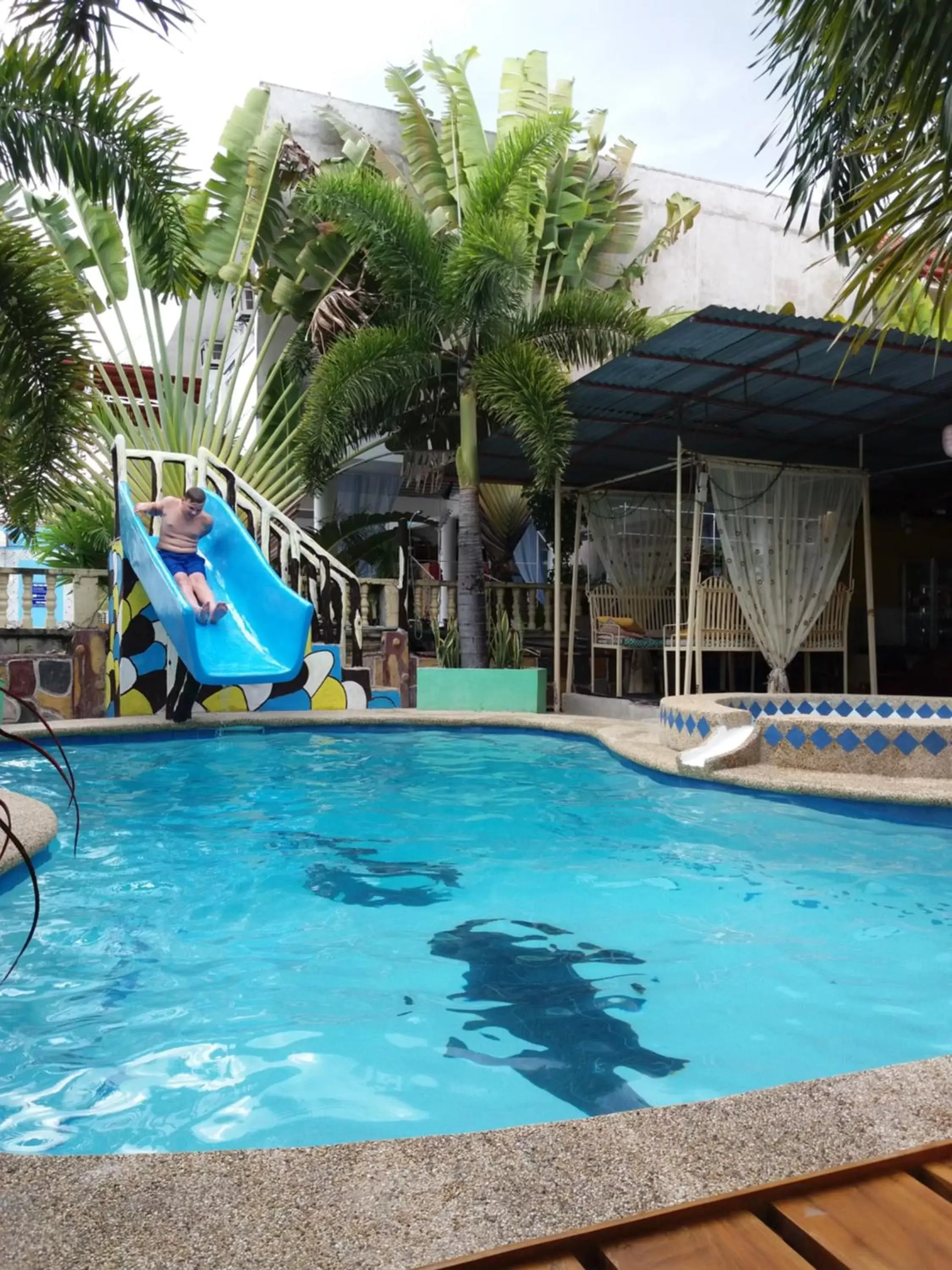 Swimming Pool in Sascha's Resort Oslob