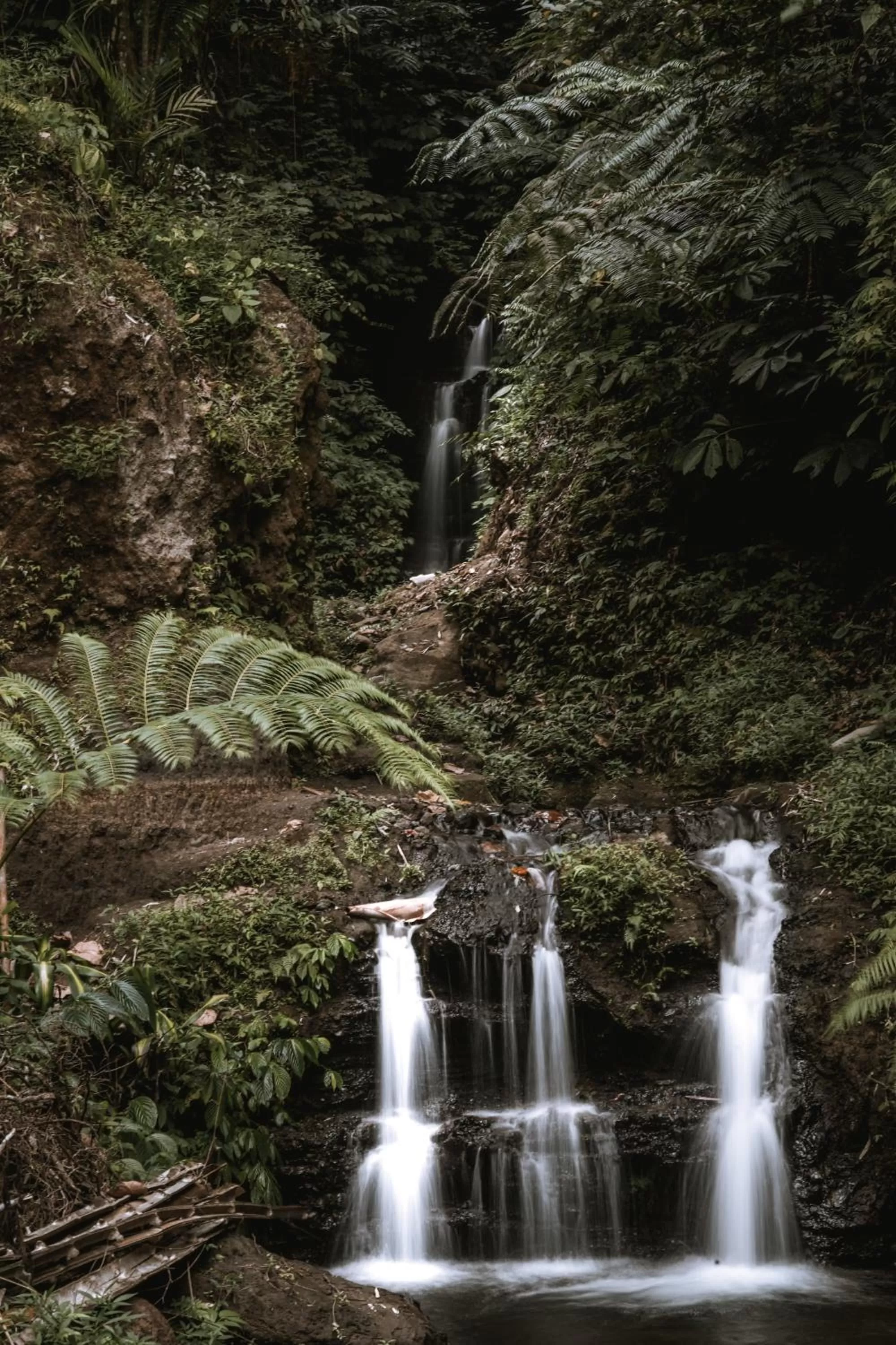 Natural landscape in Gumi Ayu EcoStay