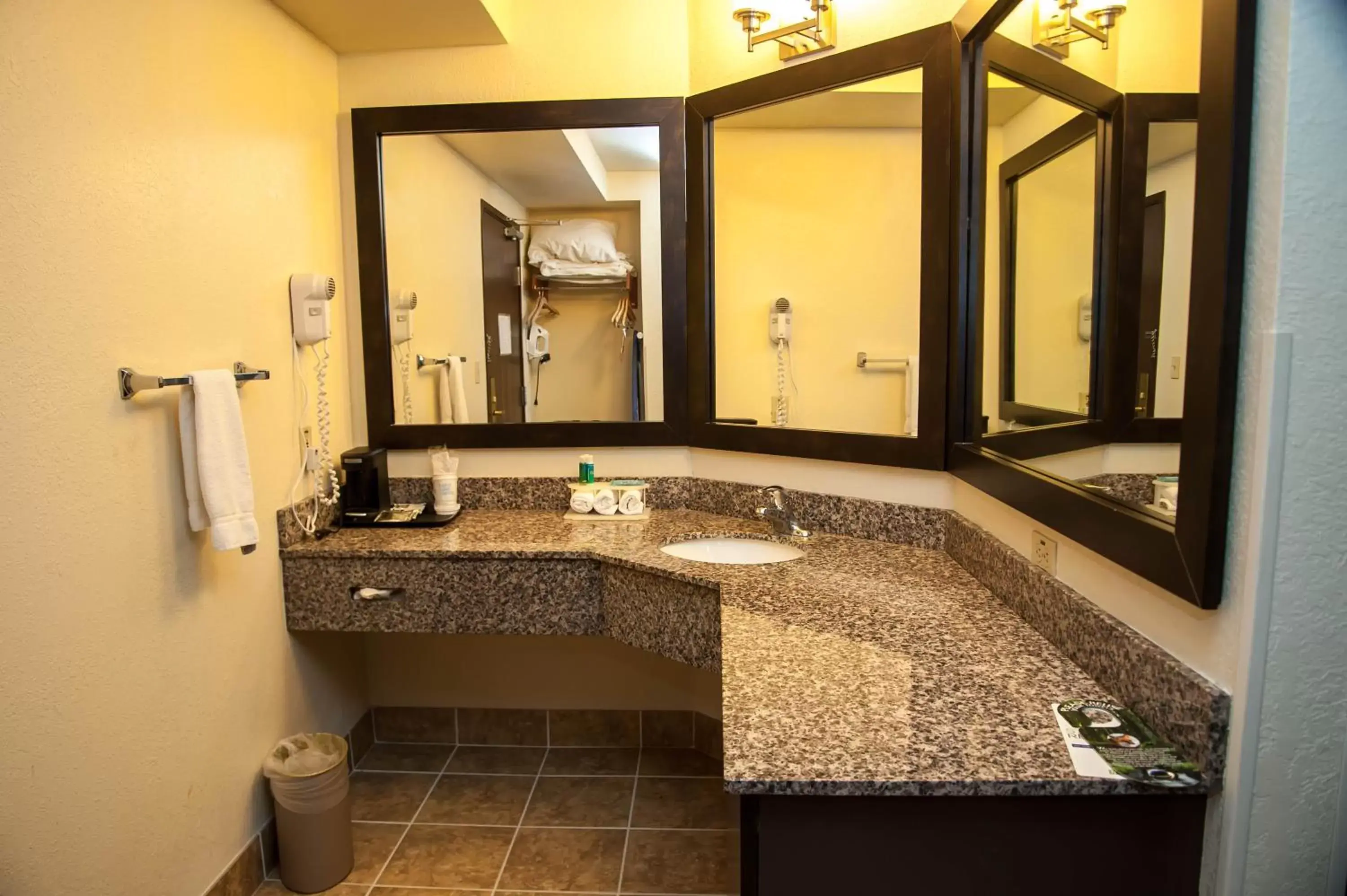 Bathroom in Holiday Inn Express Tucson-Airport, an IHG Hotel