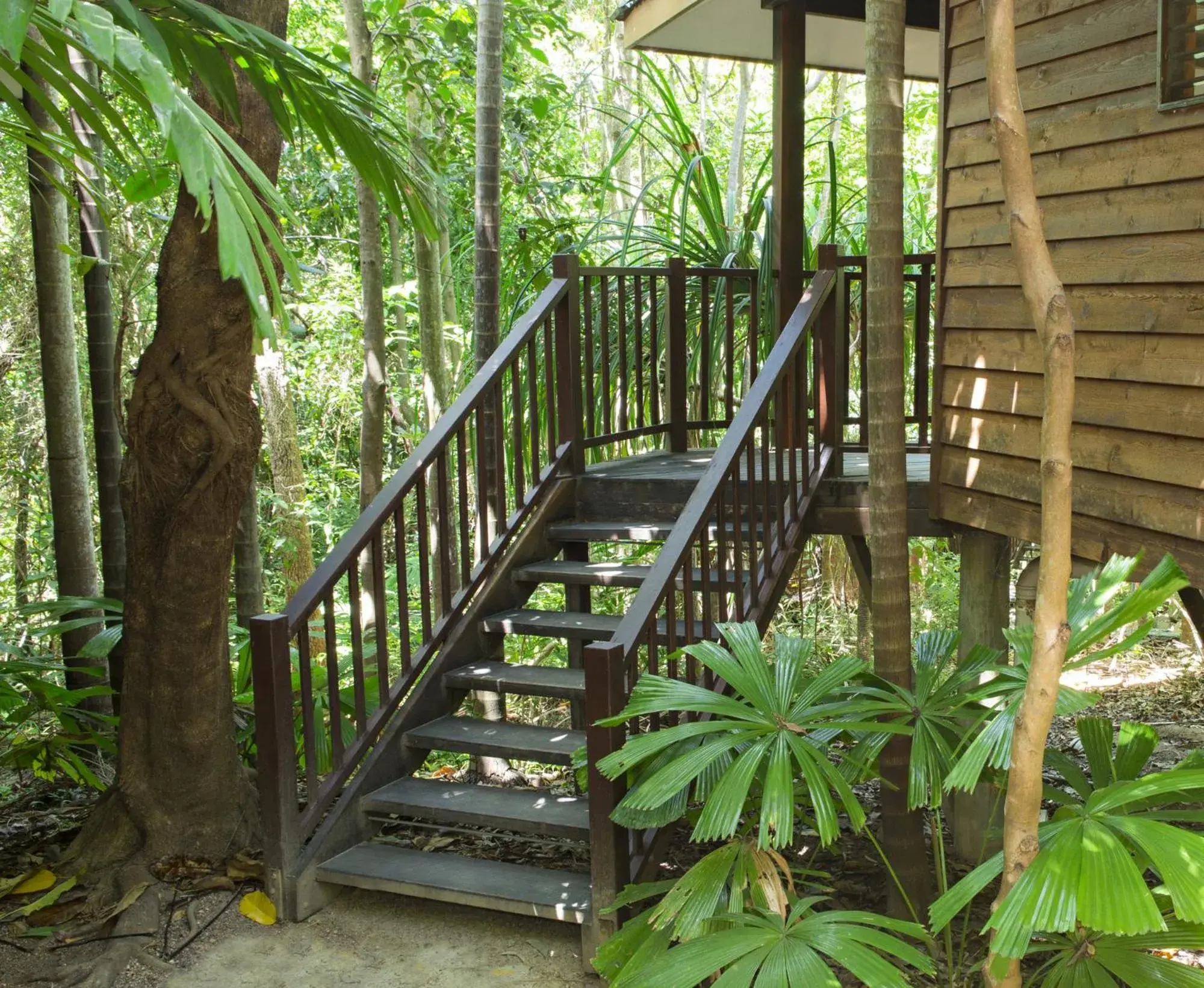 Facade/entrance in Thala Beach Nature Reserve