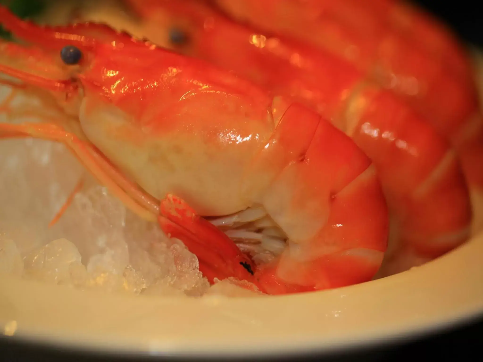 Food, Other Animals in Zhuhai Charming Holiday Hotel-Free Welcome Fruit Plate