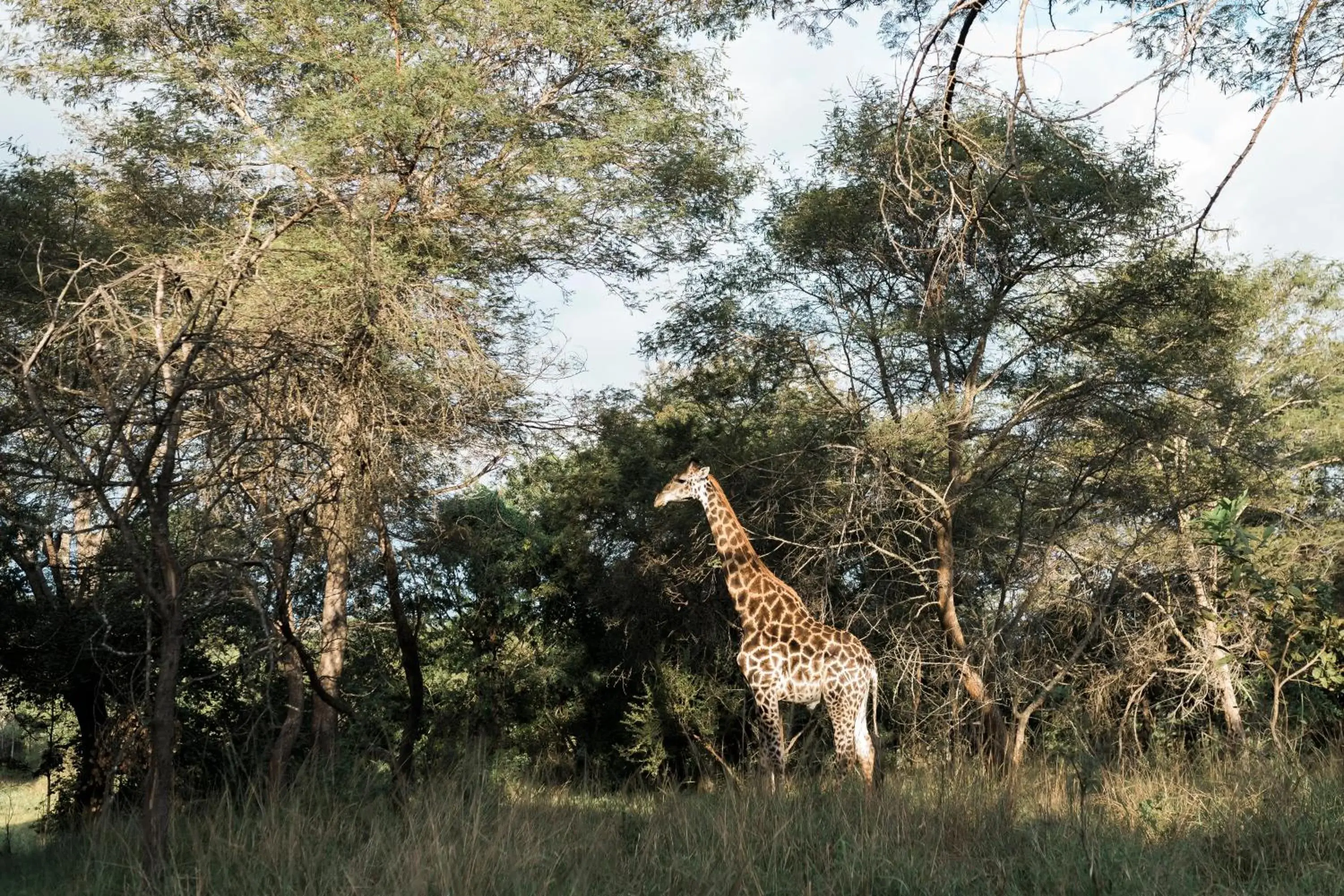 Activities in Tzaneen Country Lodge