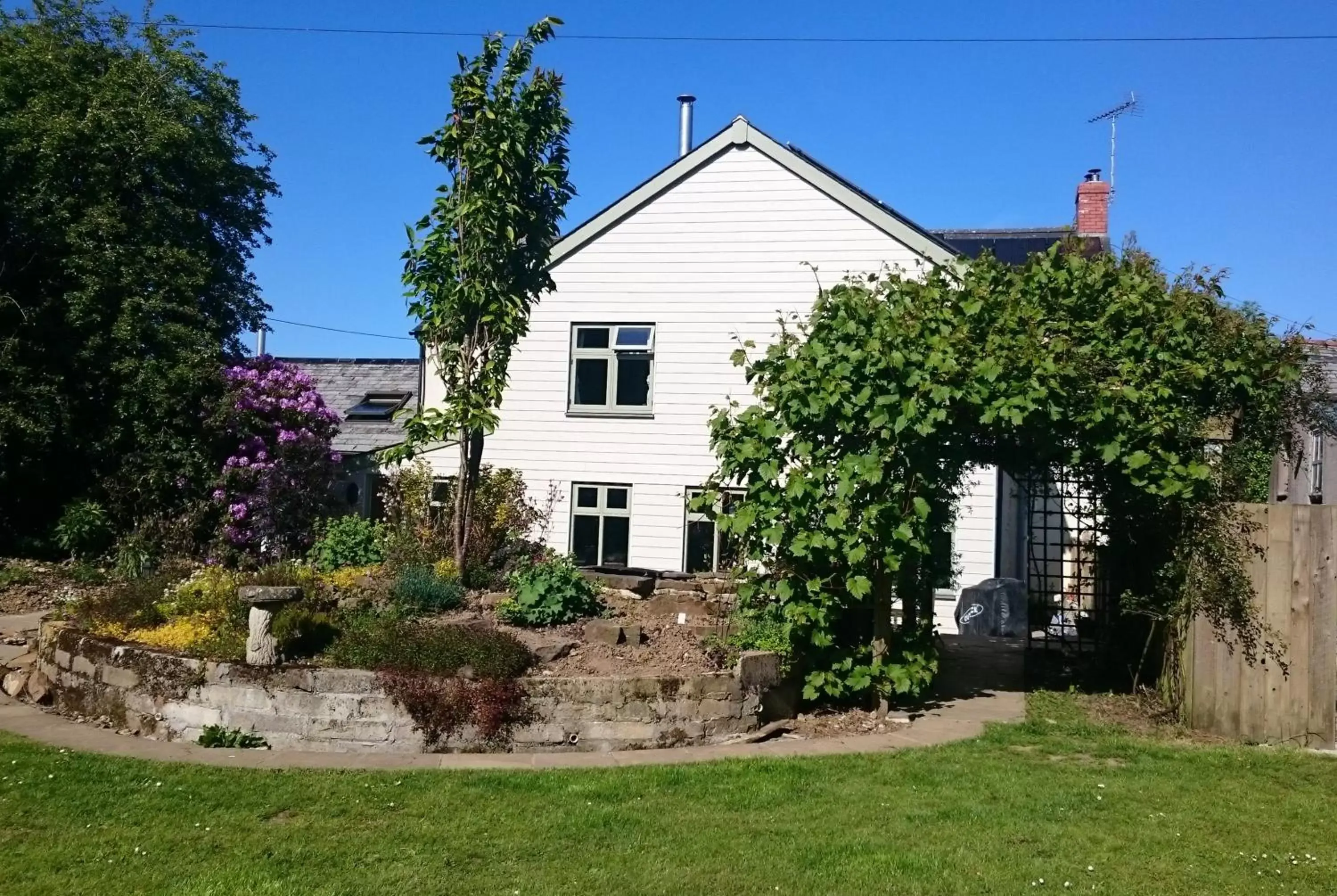 Property Building in Claw House