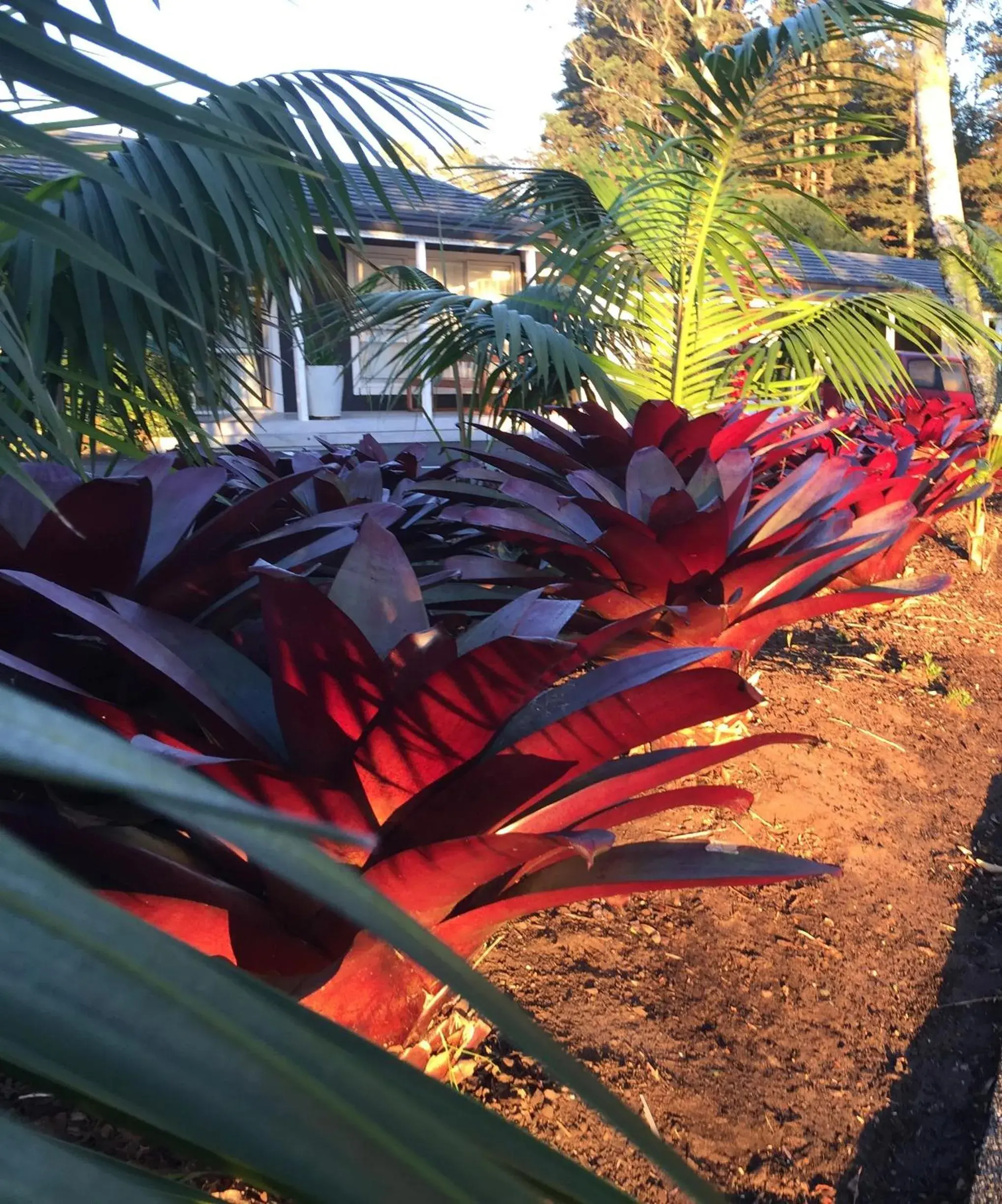 Garden in Stay Kerikeri