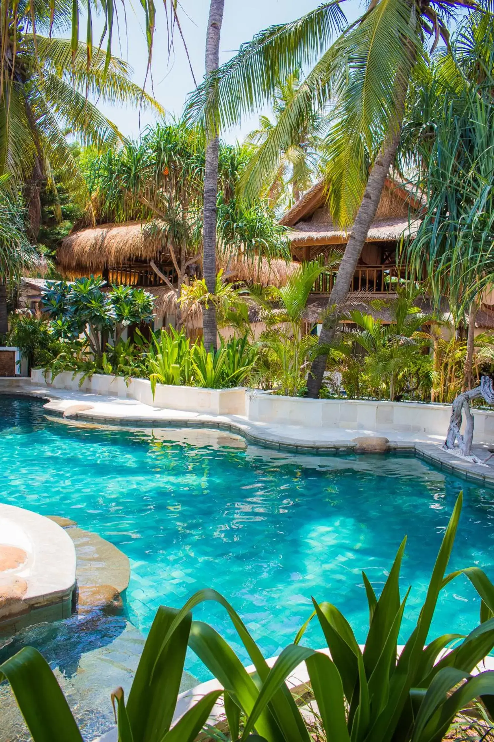 Pool view in Sunrise Resort Pool view in Sunrise Resort