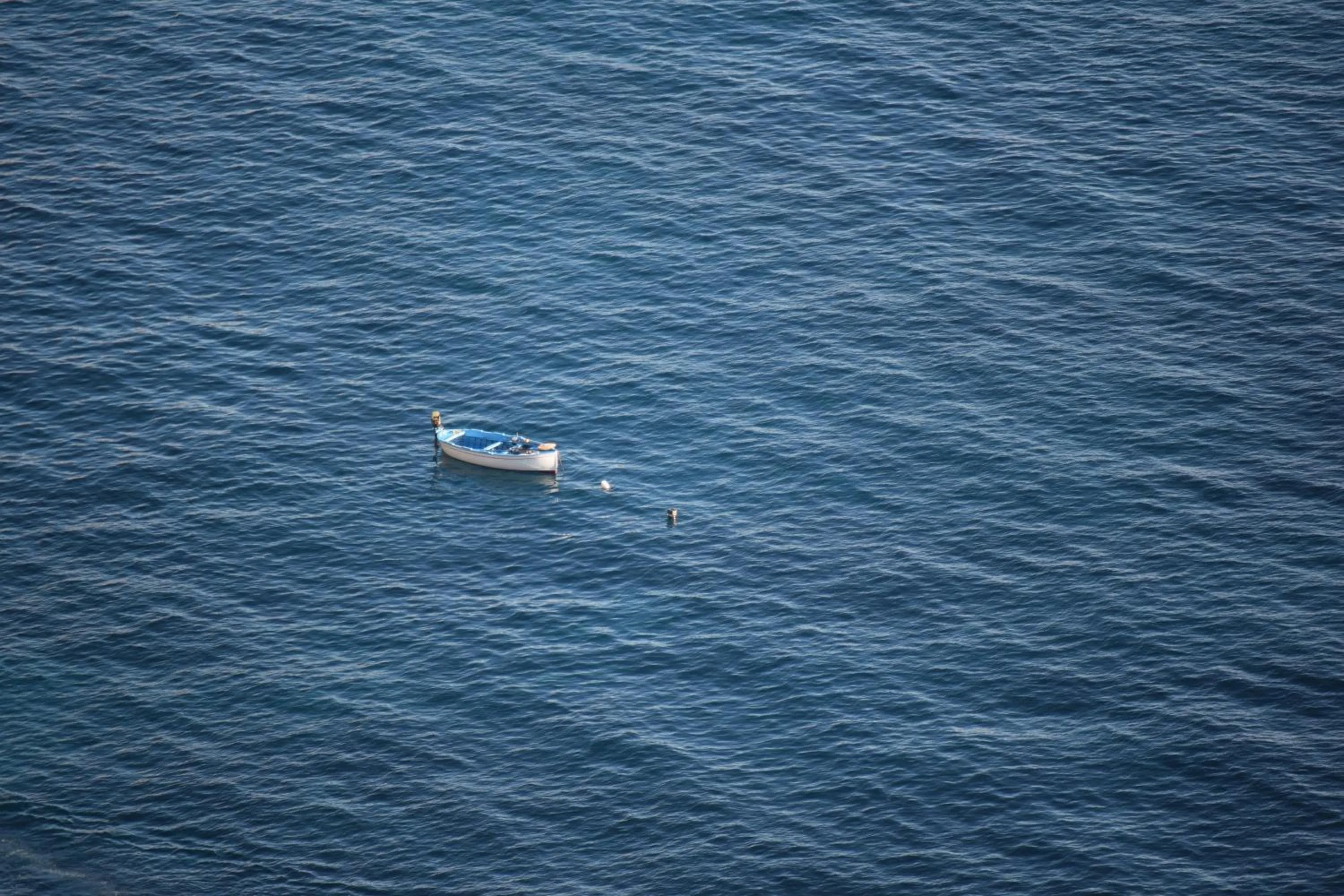 Natural landscape in Hotel Pellegrino